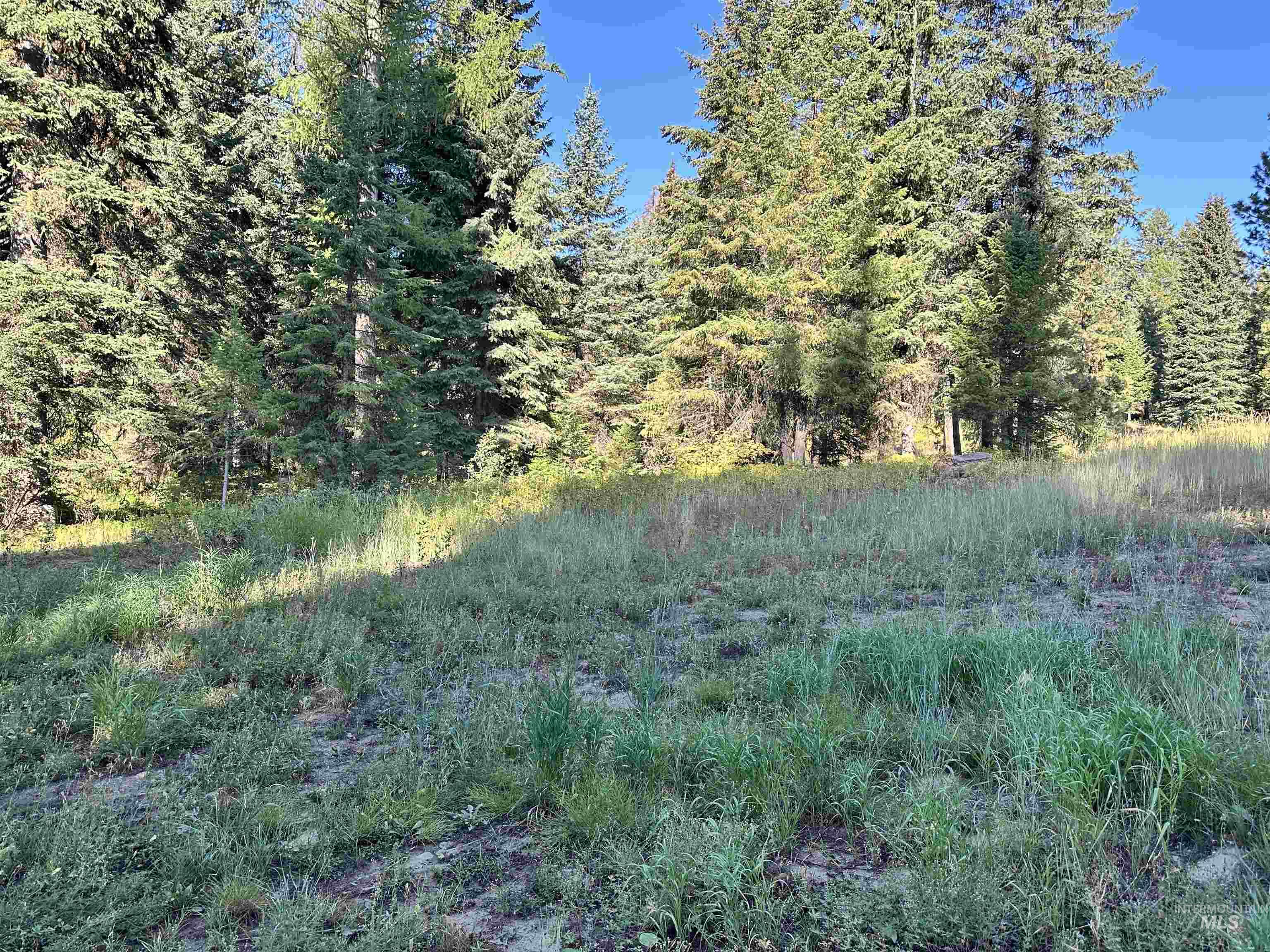 17 Andy Lane, Donnelly ID 83615