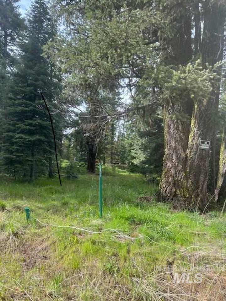 20 Andy Lane, Donnelly ID 83615