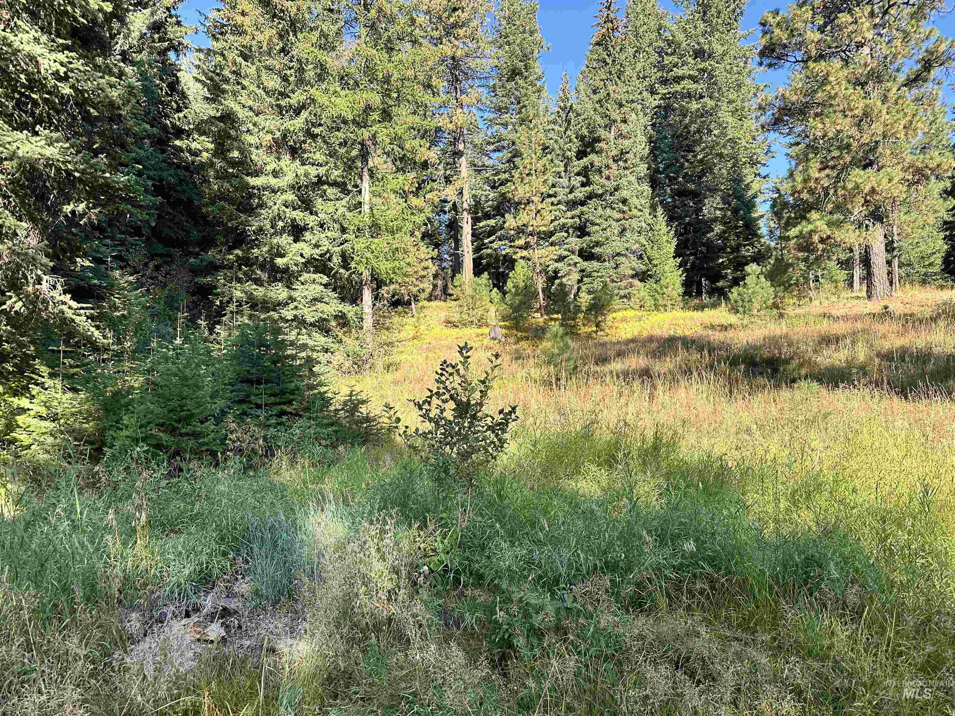 2195 Davy Road, Donnelly ID 83615