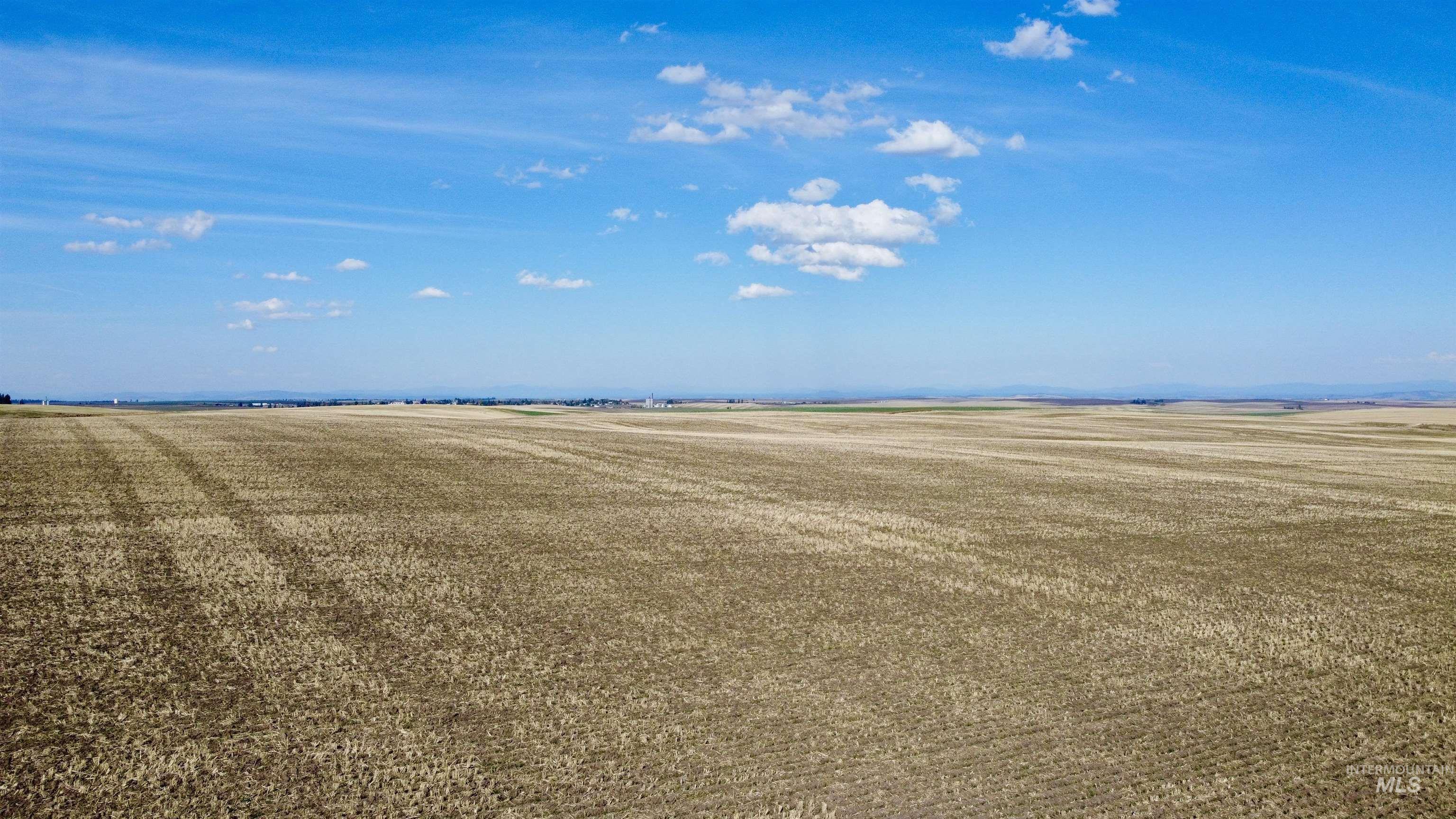 TBD Westlake Rd (80ac), Craigmont ID 83523