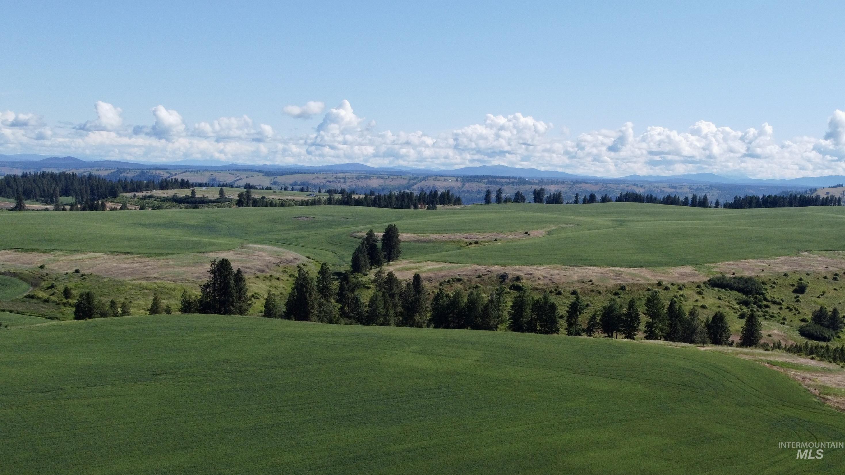 TBD Basket Rd Parcel 2, Nezperce ID 83543