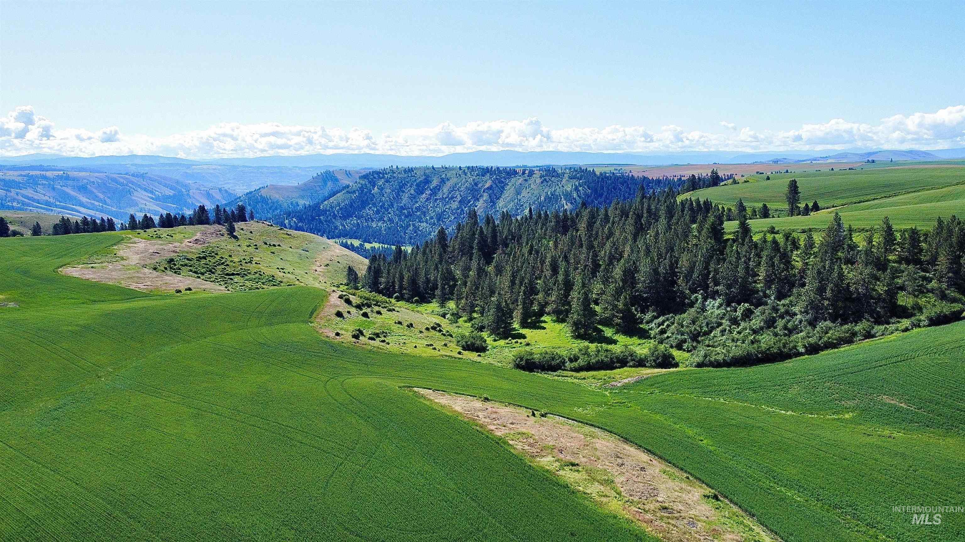 TBD Basket Rd Parcel 1, Nezperce ID 83543