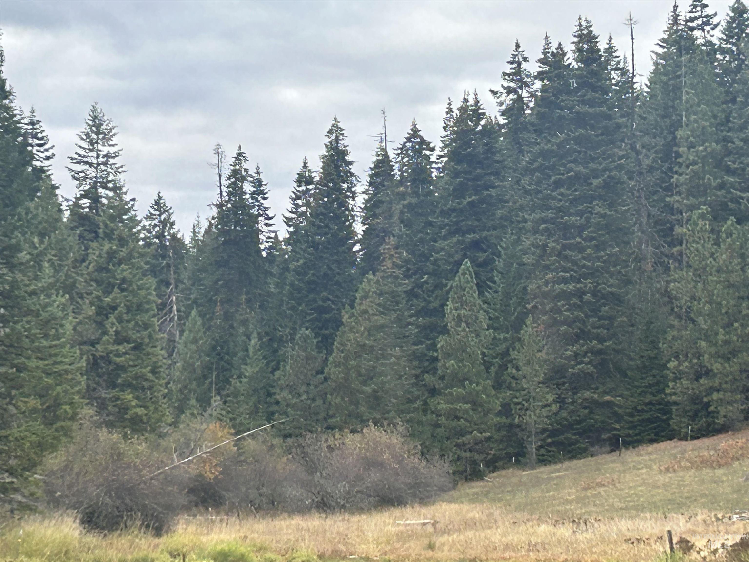 TBD LOT 1 Glenwood Road, Kamiah ID 83536