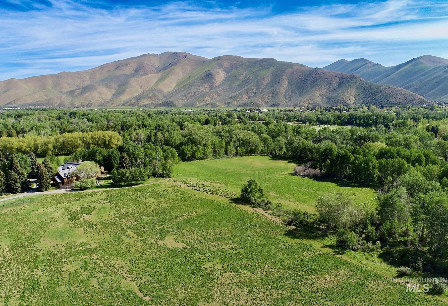 40 Fox Hollow Gulch Rd, Bellevue ID 83313-1189