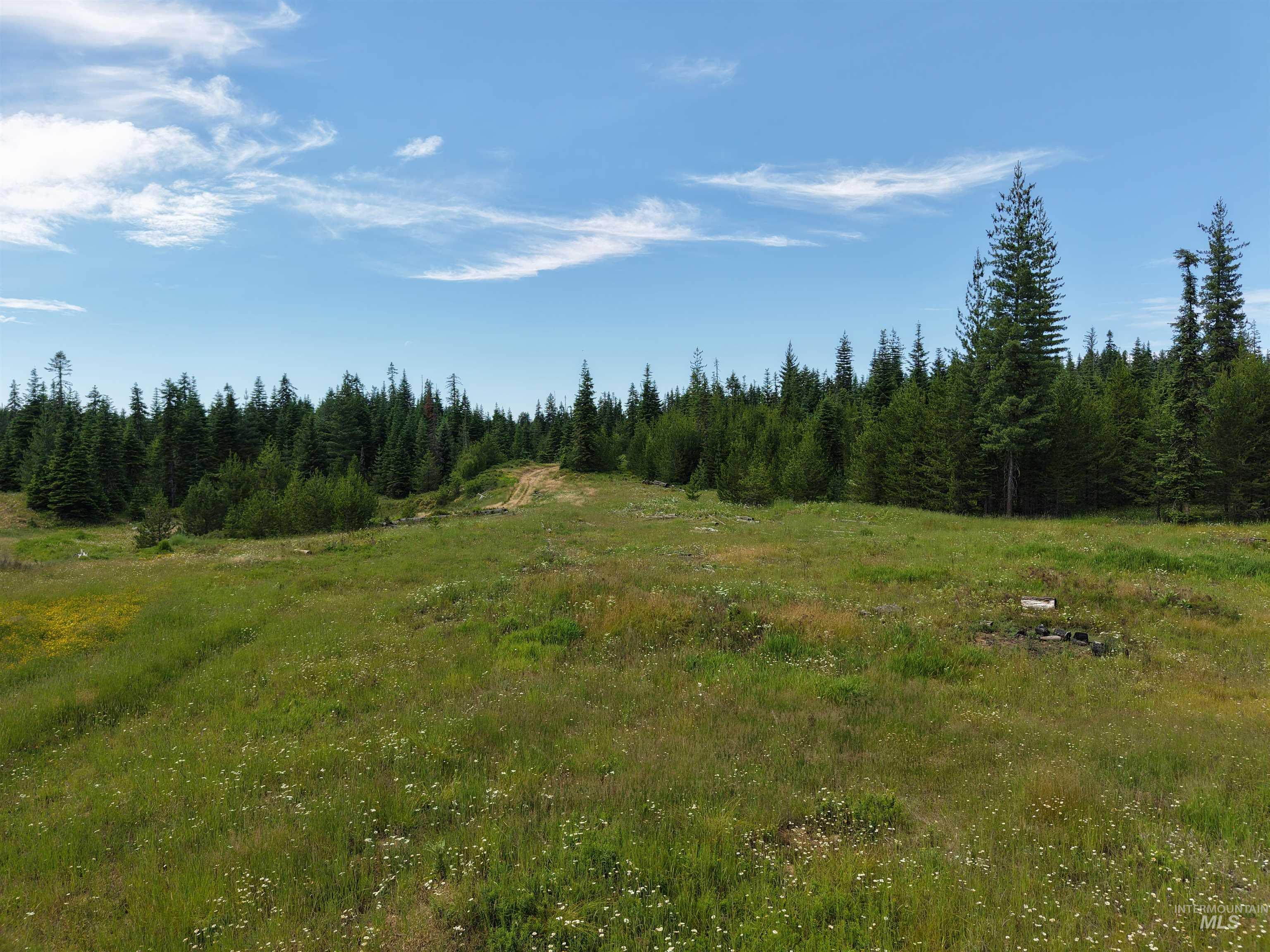 TBD Highway 11, Weippe ID 83553