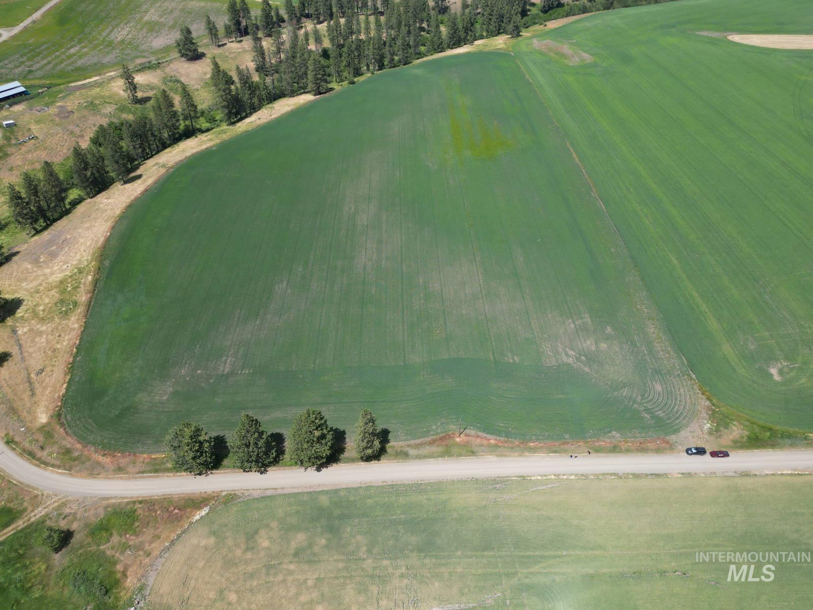 Lot 2 Herrick Road, Craigmont ID 83543