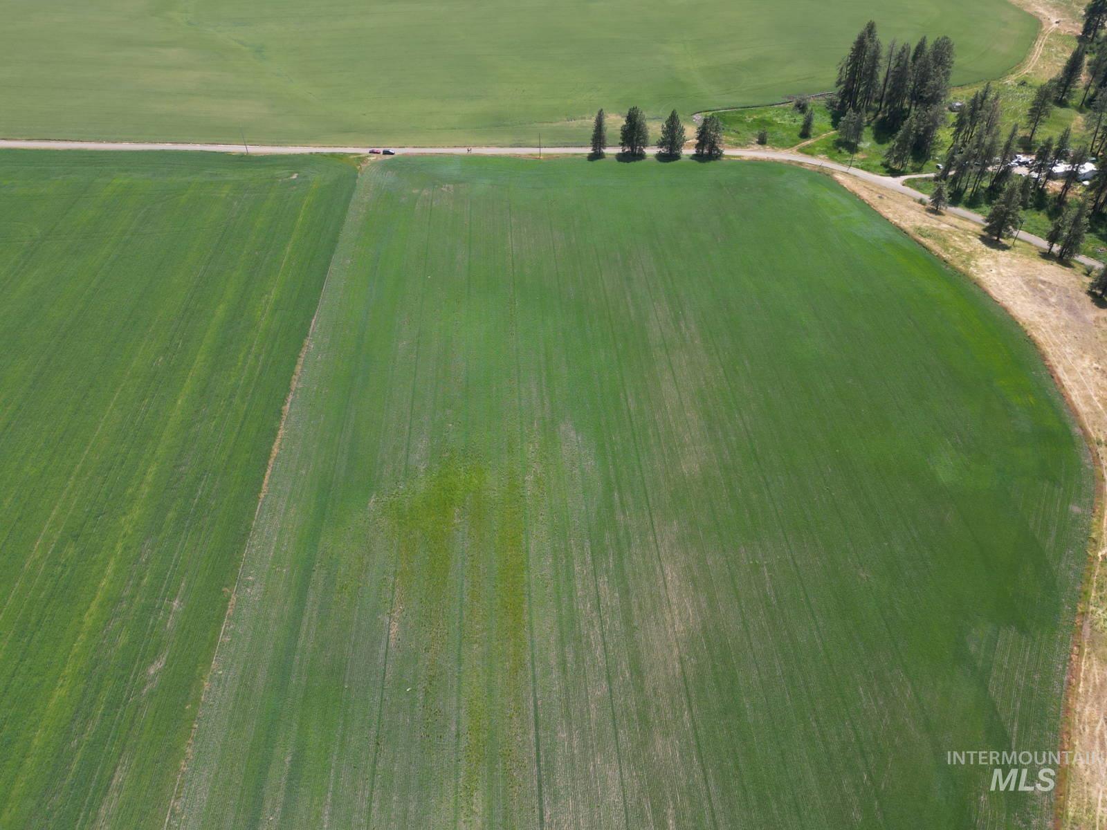 Lot 2 Herrick Road, Craigmont ID 83543