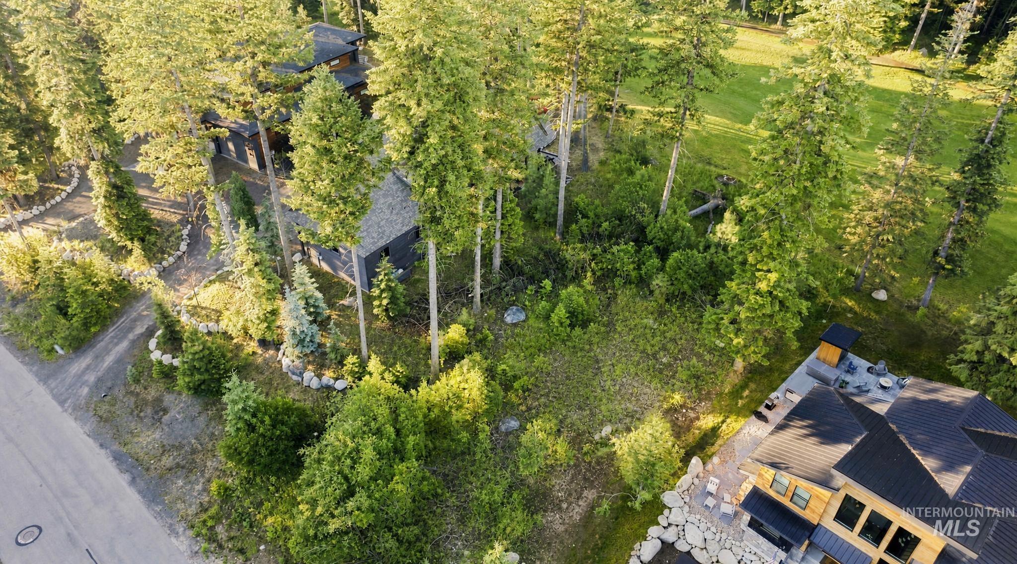 1012 Violet Way, McCall ID 83638