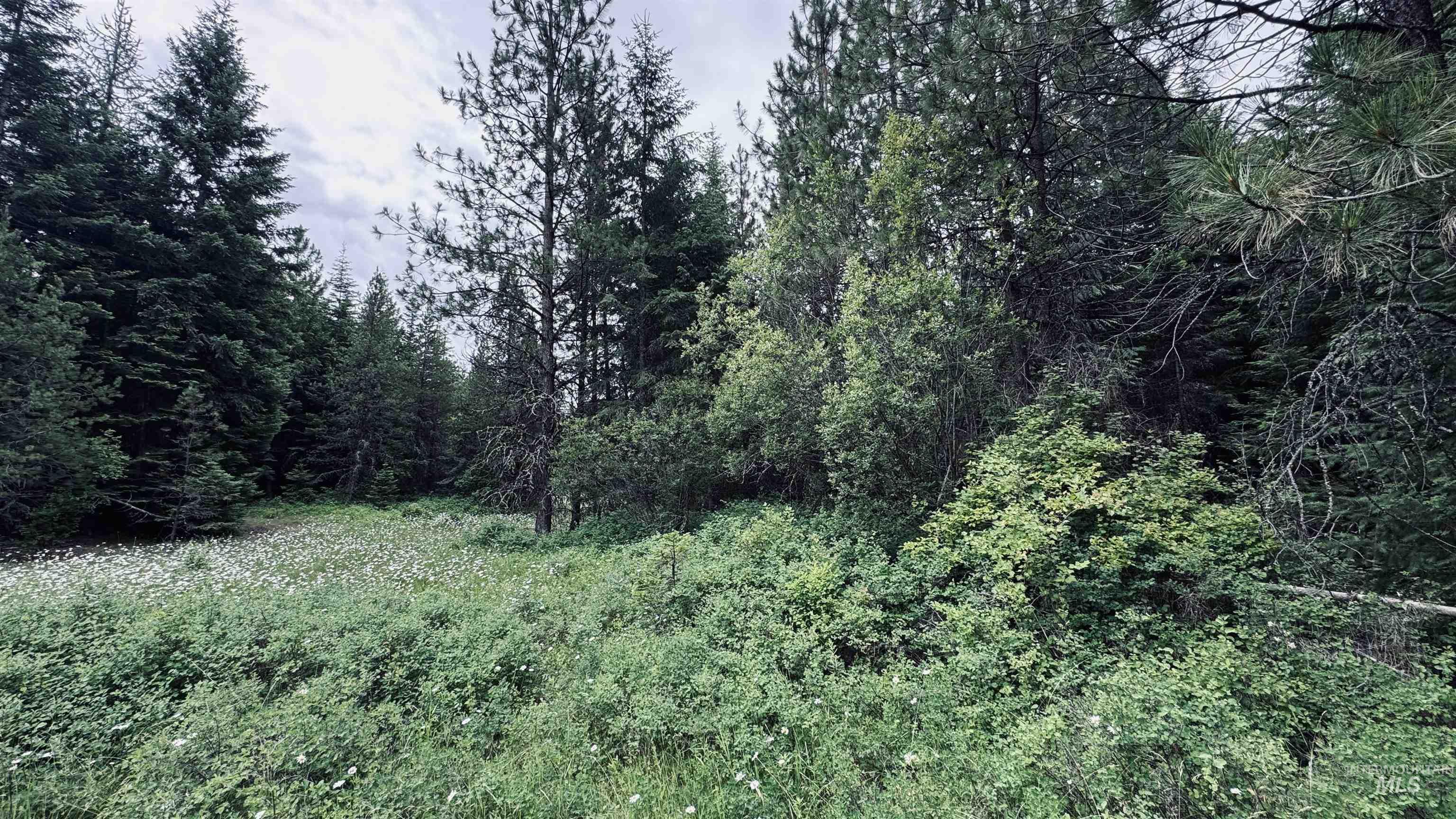 58 Bugling Elk Lane, Weippe ID 83553