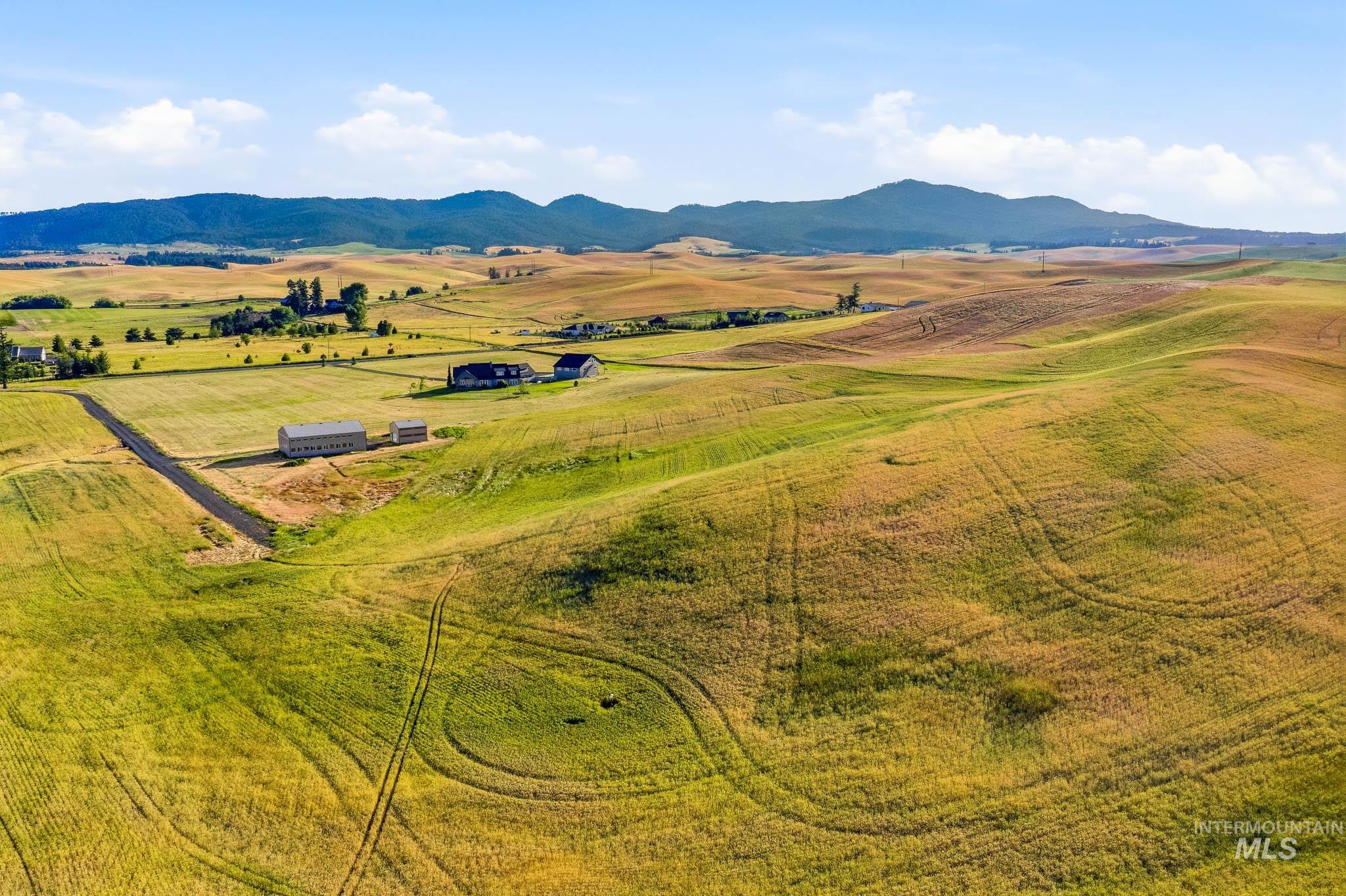 TBD N Mountain View Road, Moscow ID 83843