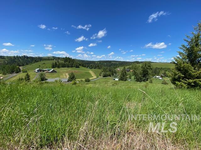 Lot 25 Shenandoah, Kamiah ID 83536