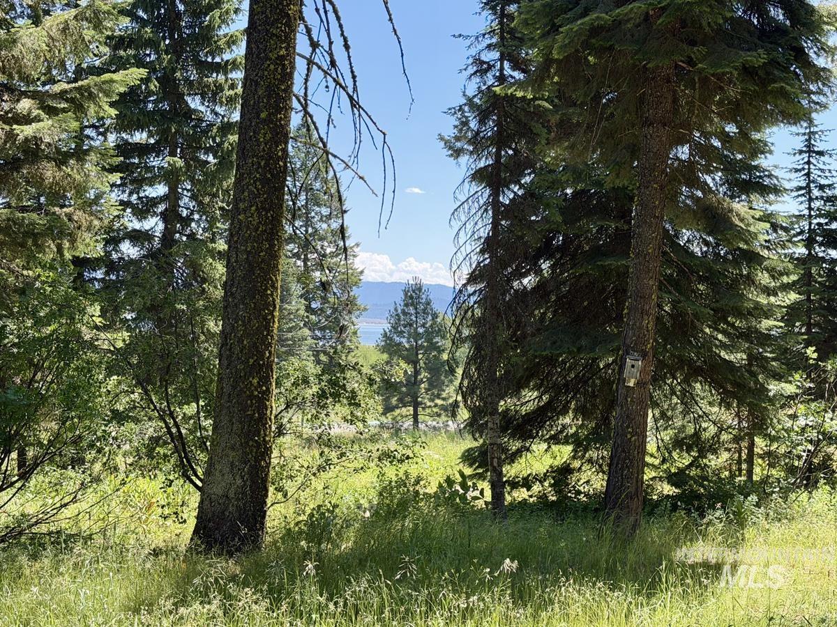 1610 Bear Trail Loop, Donnelly ID 83615