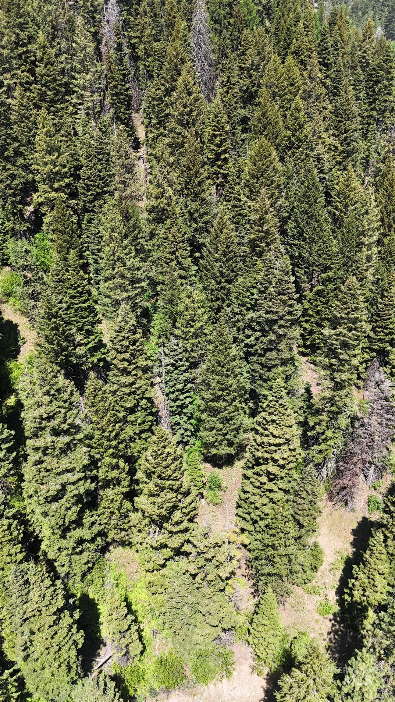 74 Burnt Wagon Trail, Donnelly ID 83615