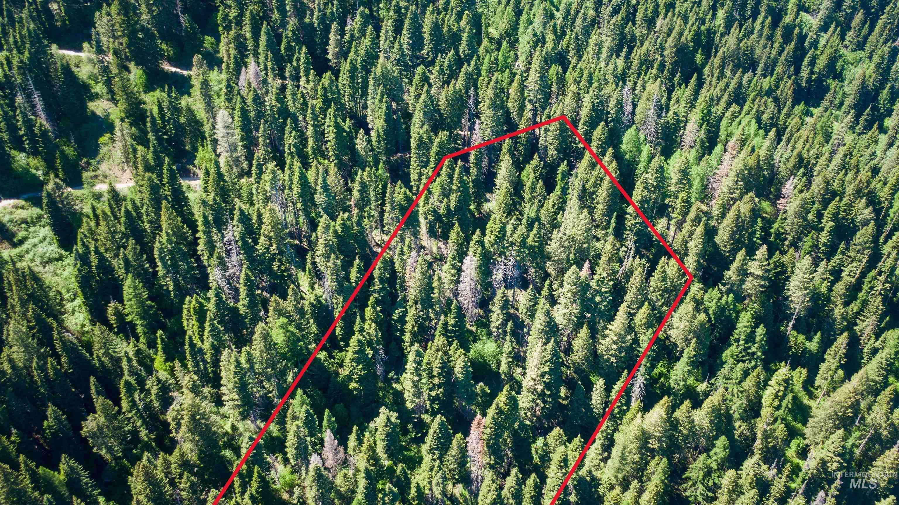 TBD Burnt Wagon Trail, Cascade ID 83611