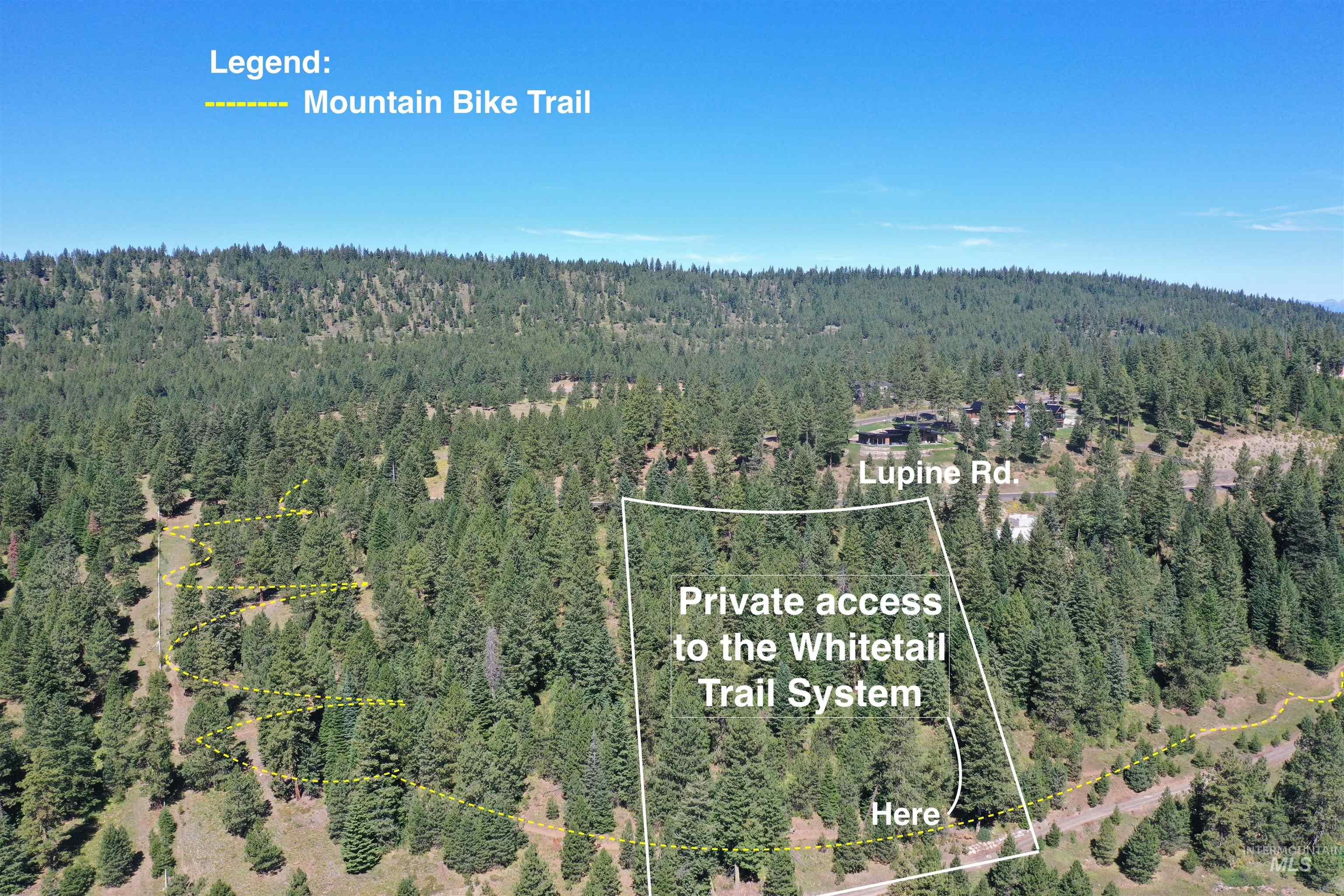 5541 Lupine Lane, McCall ID 83638