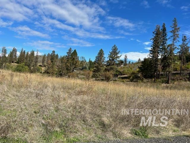 TBD Lot 1 Elk Hill Road, Kamiah ID 83536