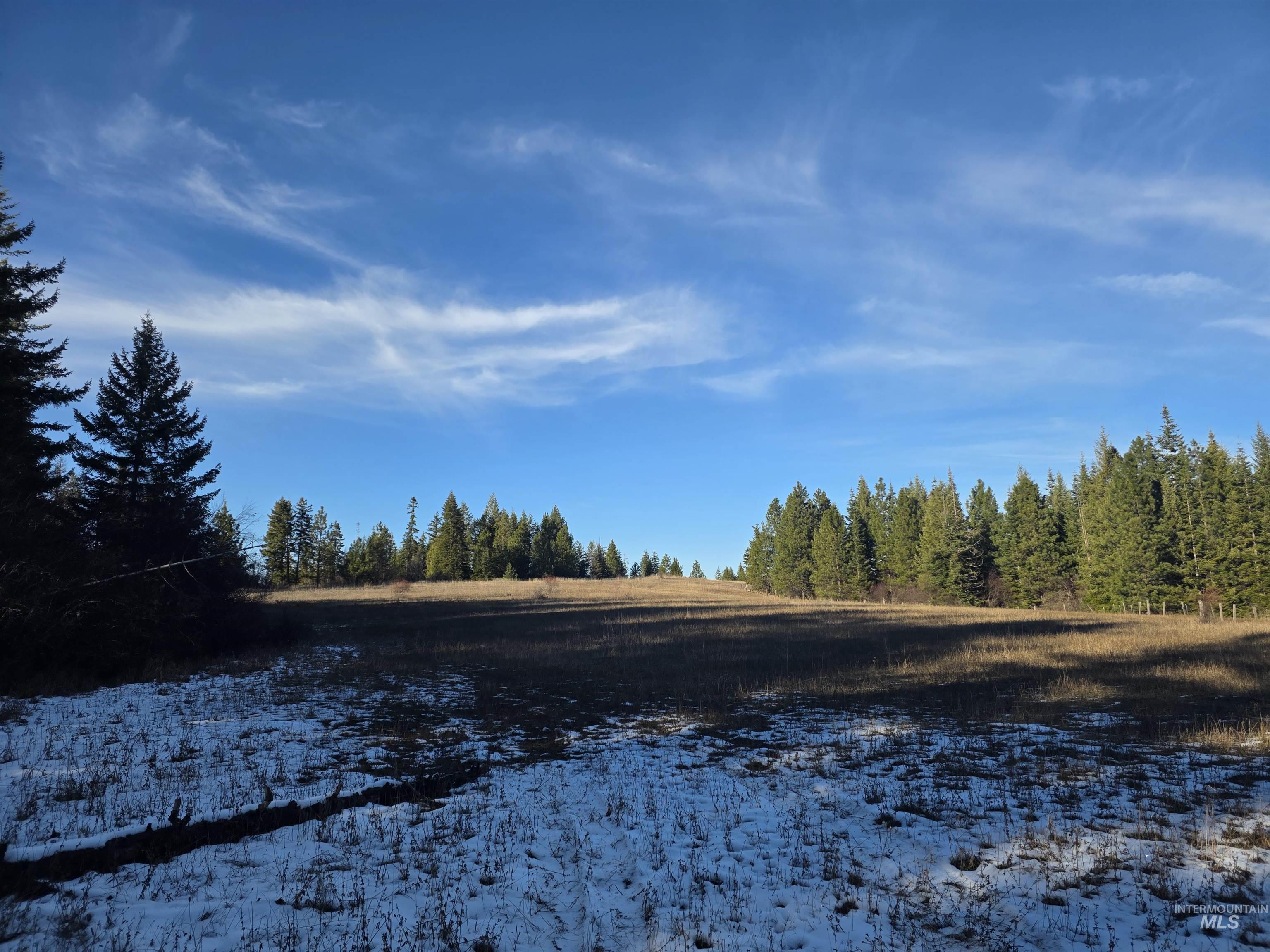 407 Memory Lane, Orofino ID 83544