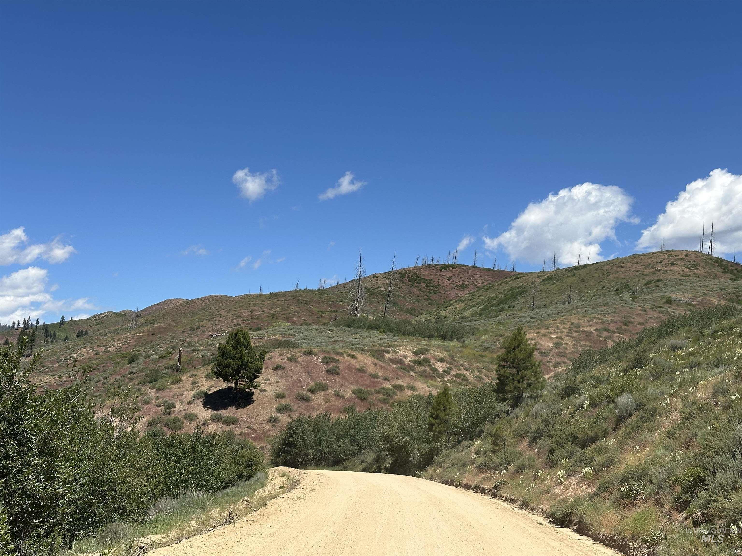 TBD Lester Creek Rd, Pine ID 83647
