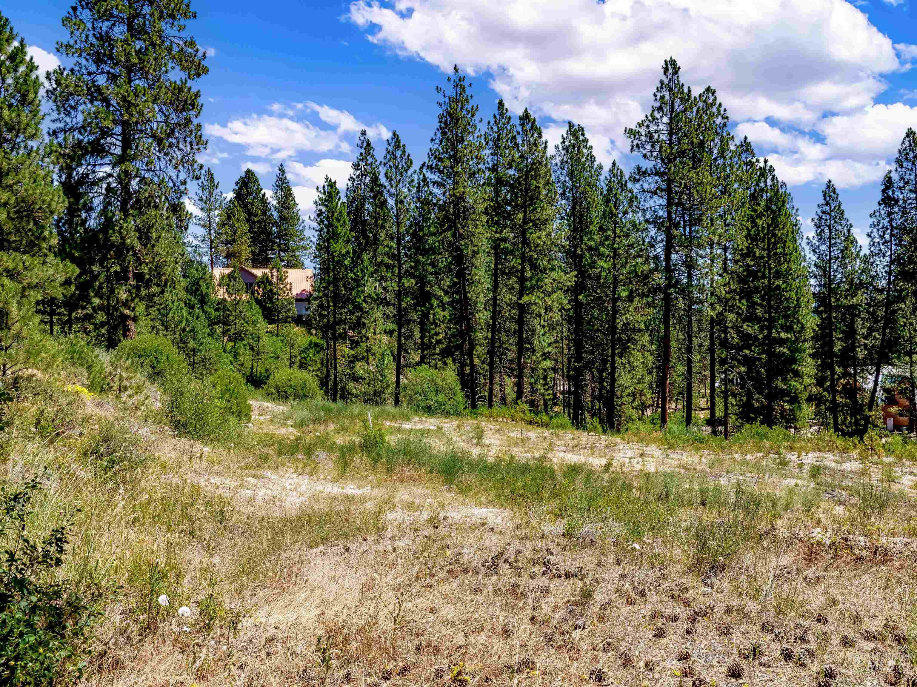 Lot 22 Bavarian Village, Idaho City ID 83631