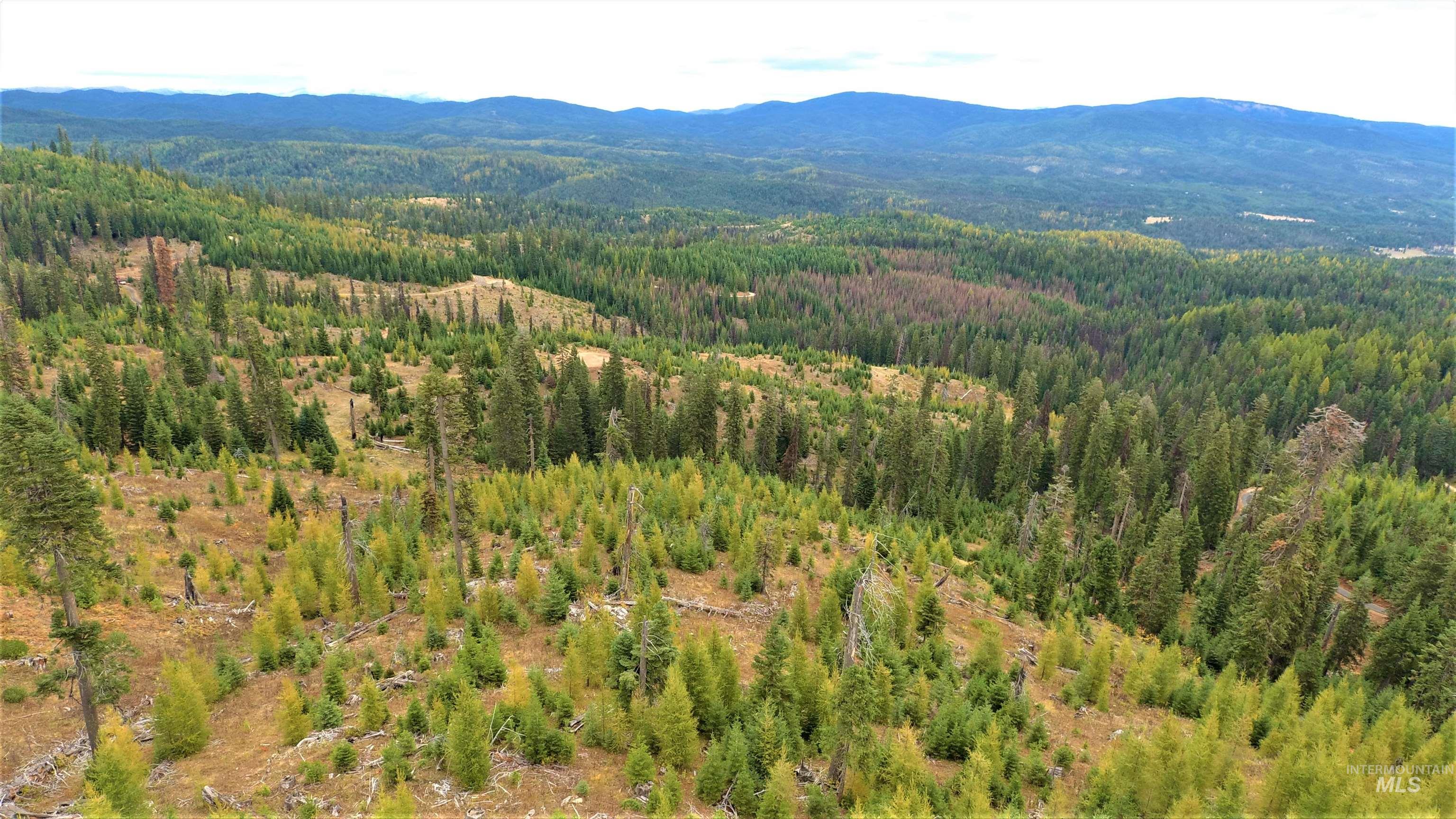 TBD Elk City Wagon Road, Elk City ID 83525