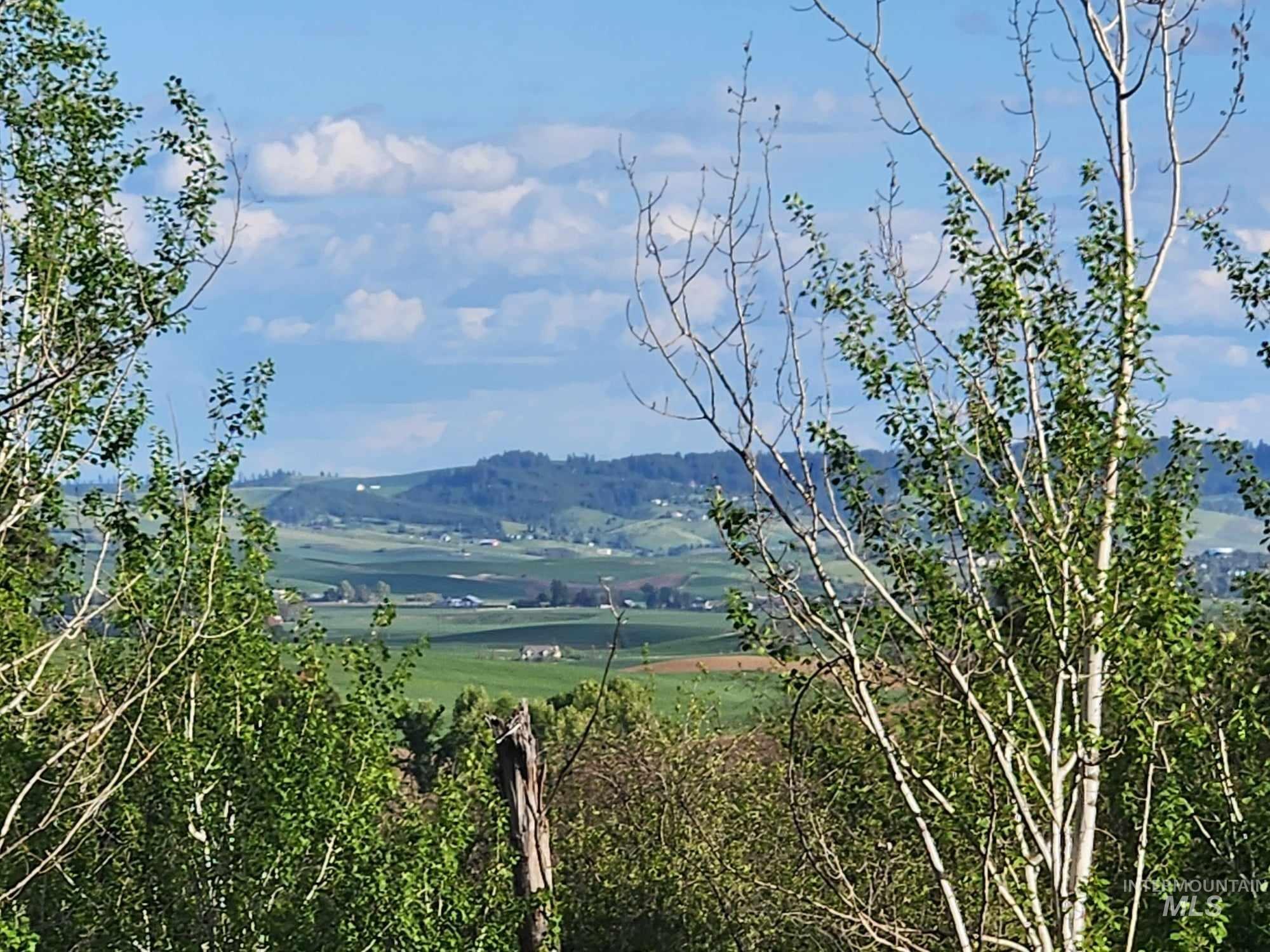 TBD Ken Trail, Moscow ID 83843