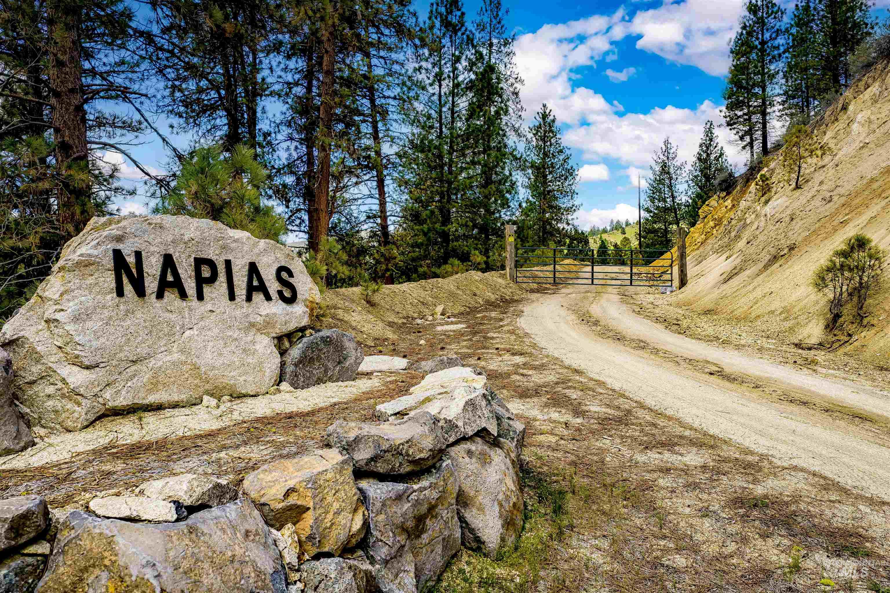 Napias Lots 1&2, Boise ID 83716