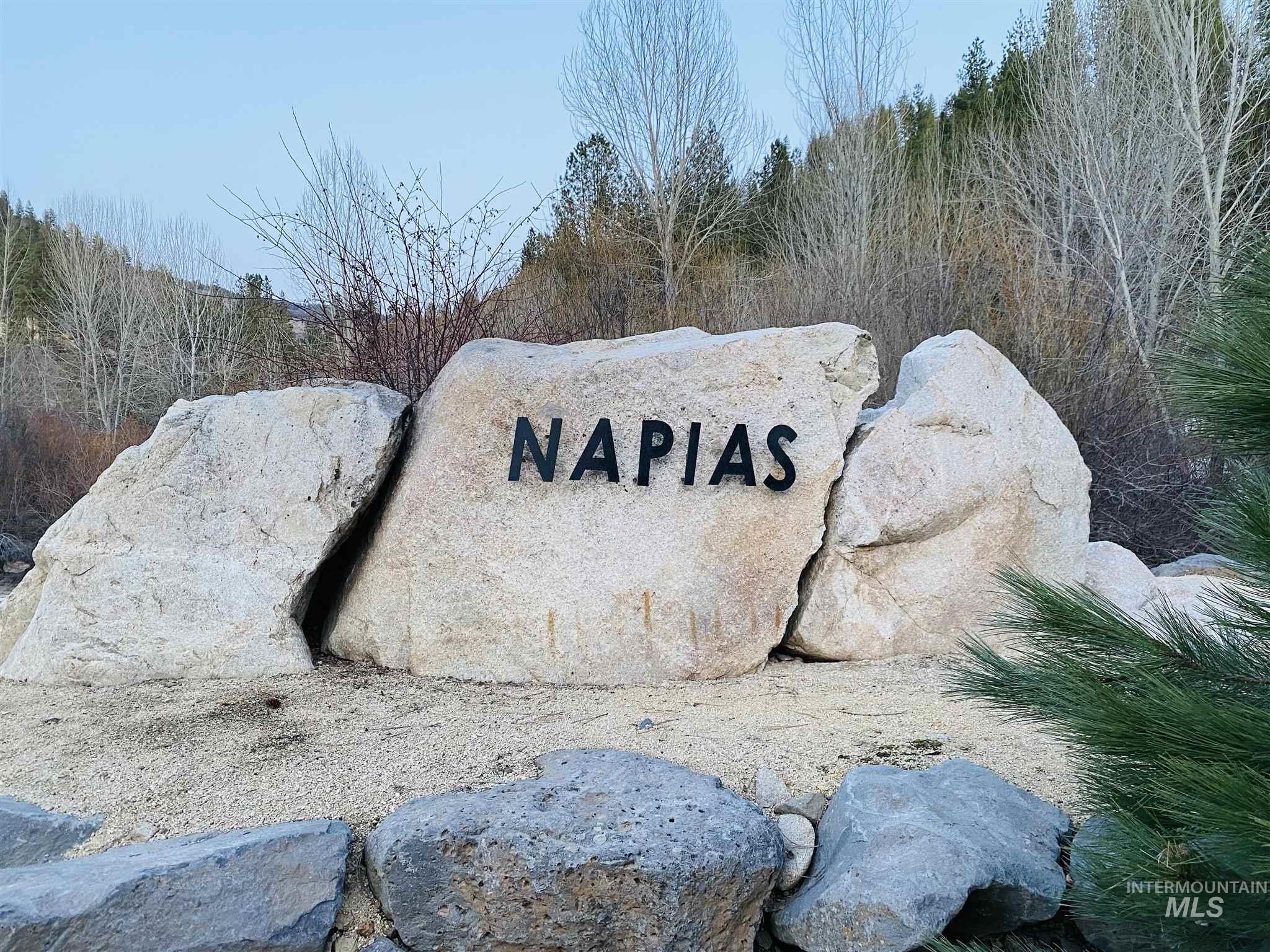Napias Lot 21, Boise ID 83716