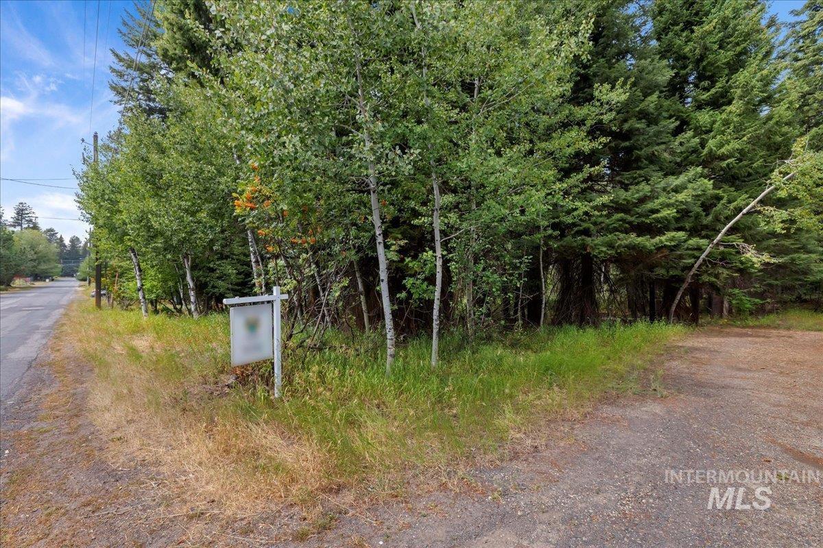813 Reedy Ln, McCall ID 83638