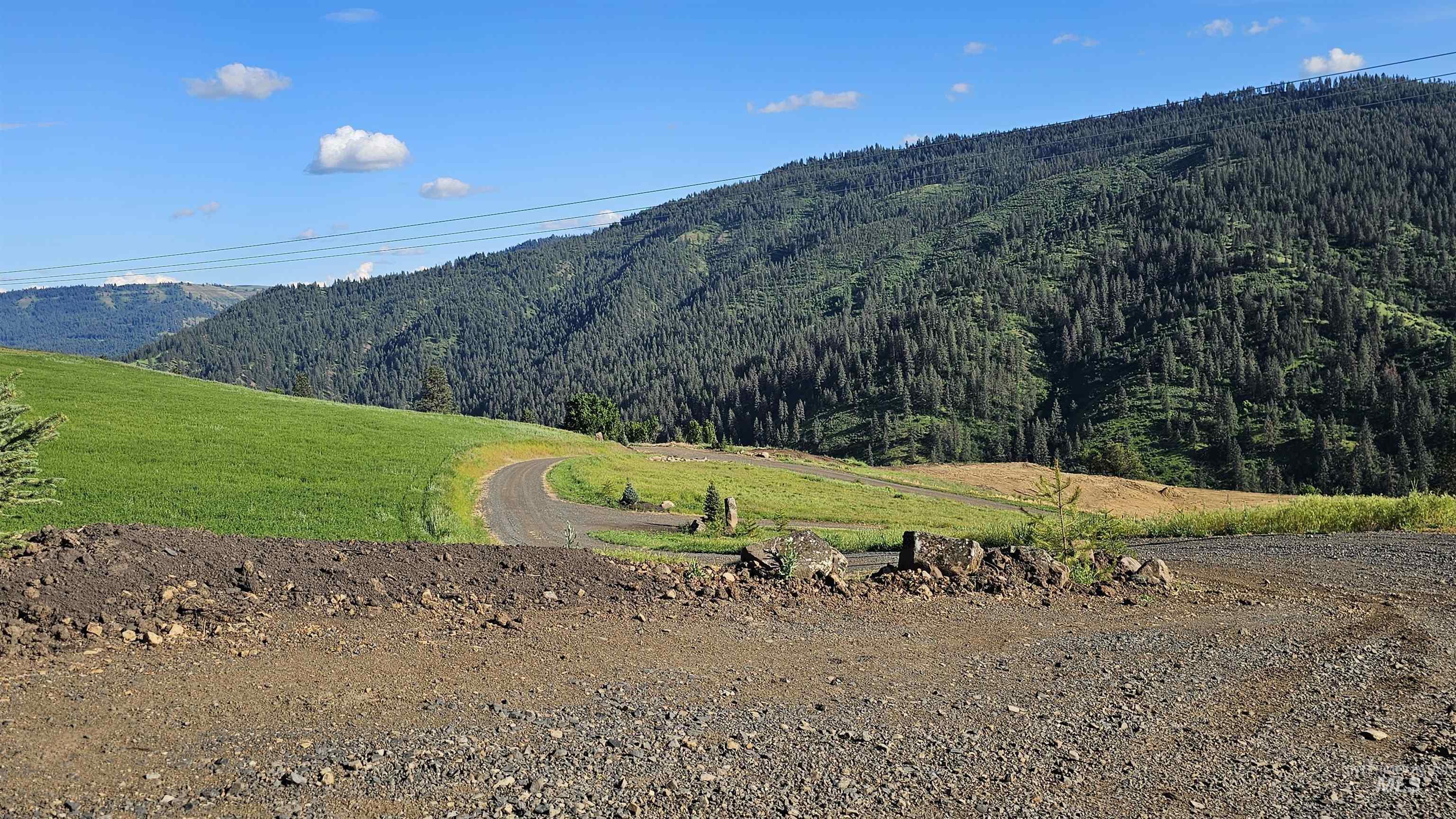 TBD Quiet Hills Lane, Lot 1, Lenore ID 83541