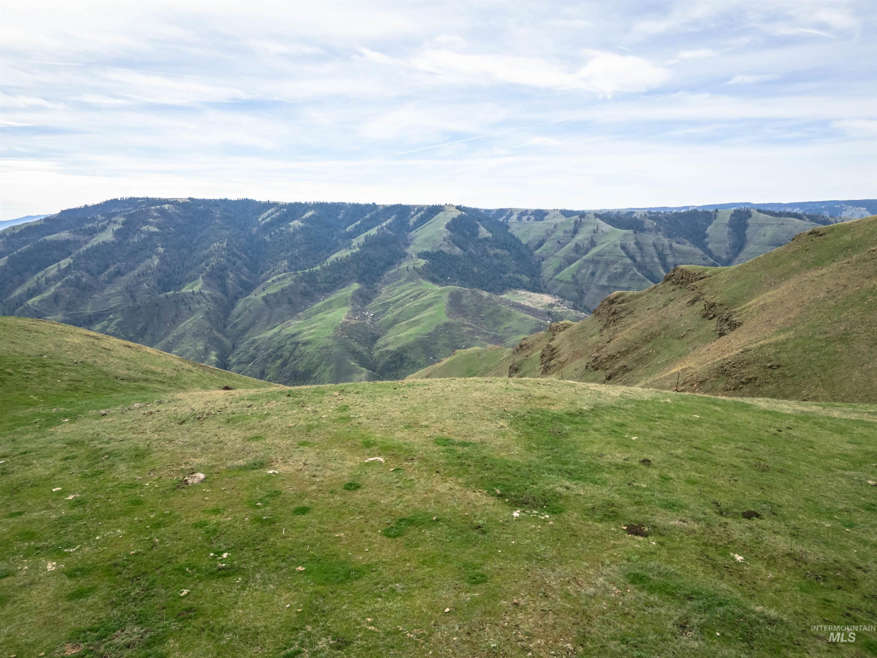 Lot 9 Salmon River Canyon Estates, Grangeville ID 83530