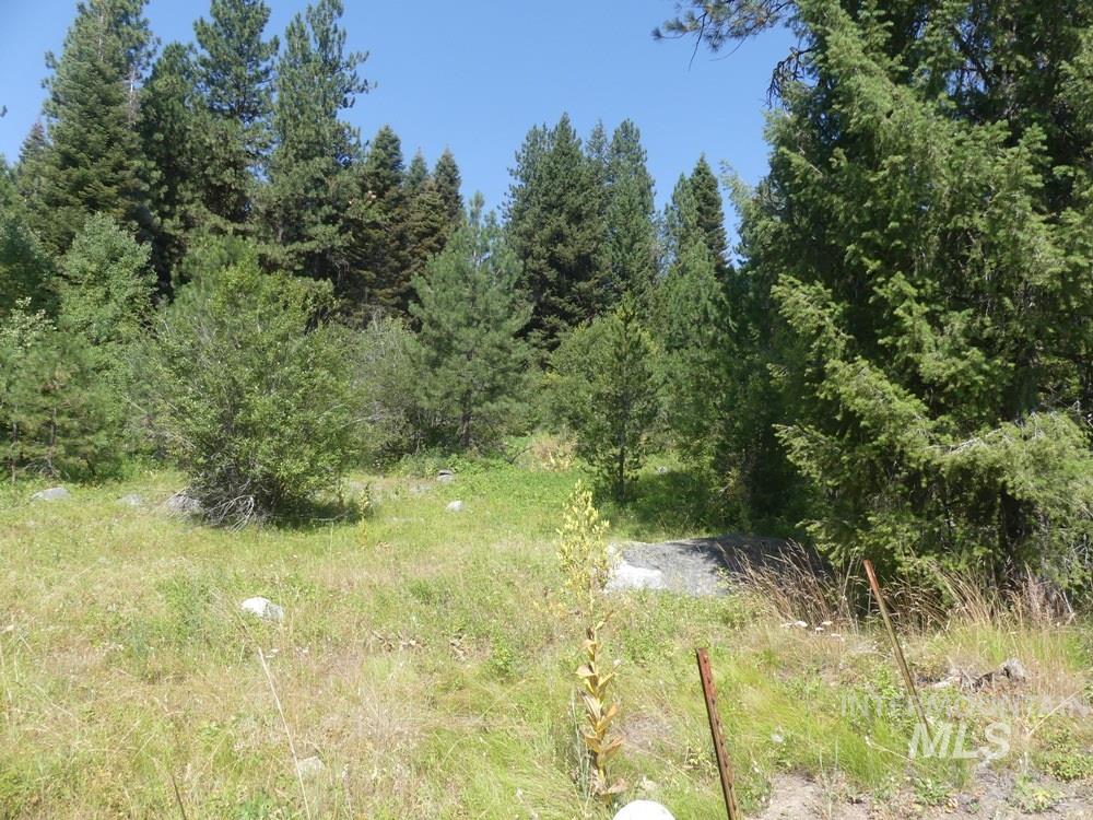 1625 Lakeridge Drive, McCall ID 83638