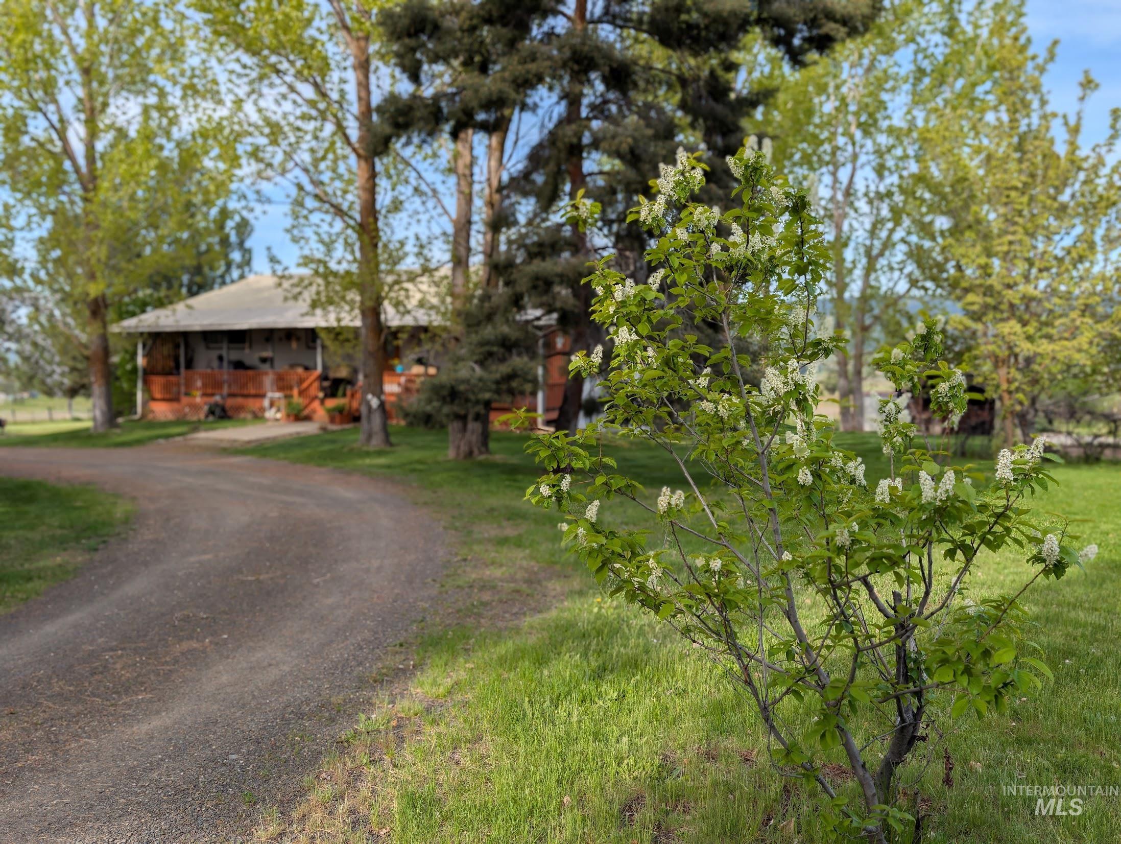 2127 Hwy 95, Council ID 83612