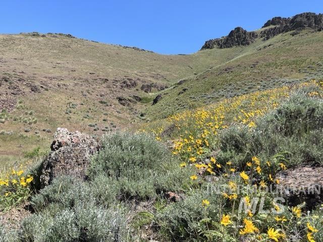 TBD NE Syrup Creek Rd., Mountain Home ID 83647