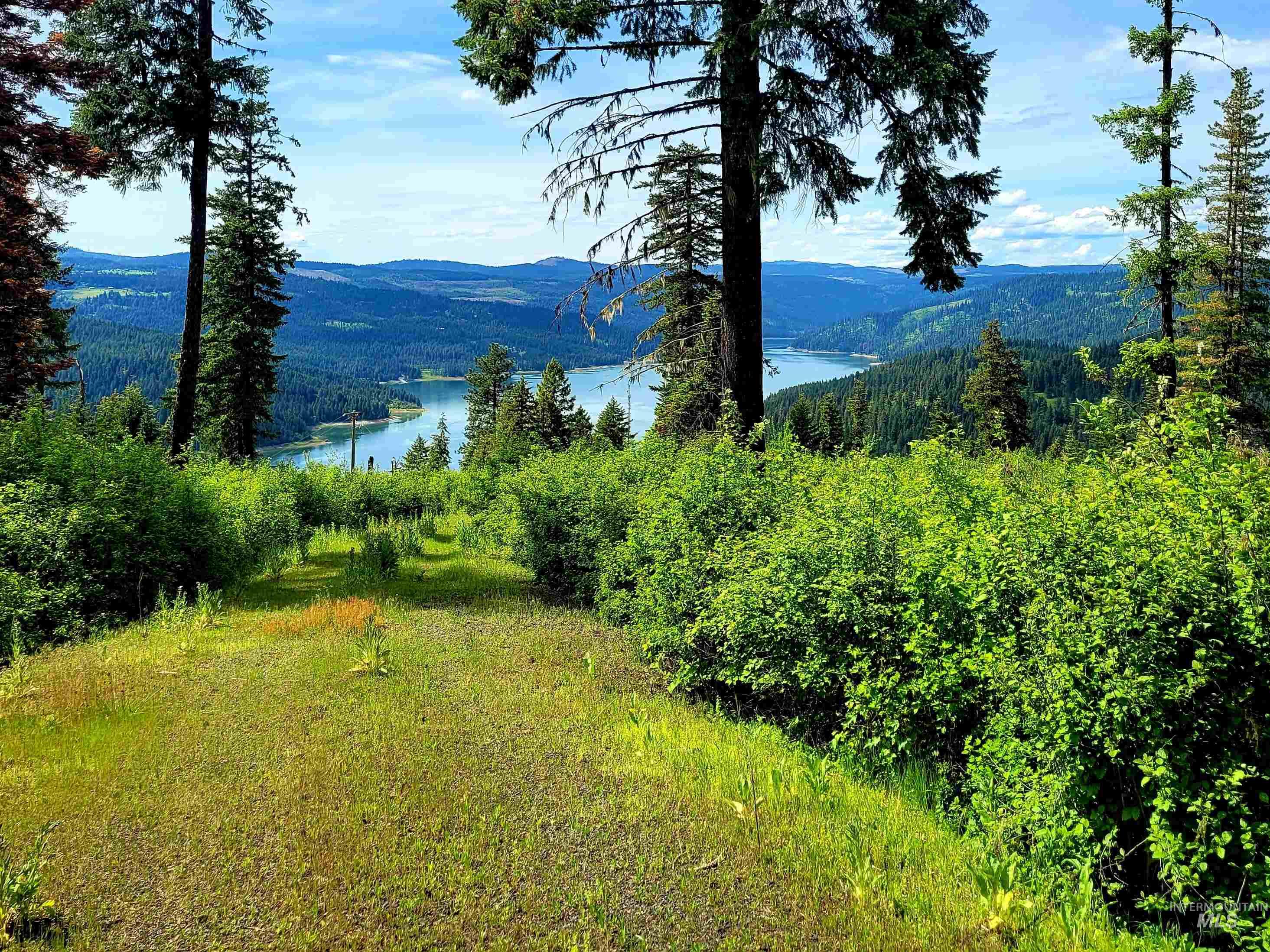 86 Moon River Lane, Orofino ID 83544
