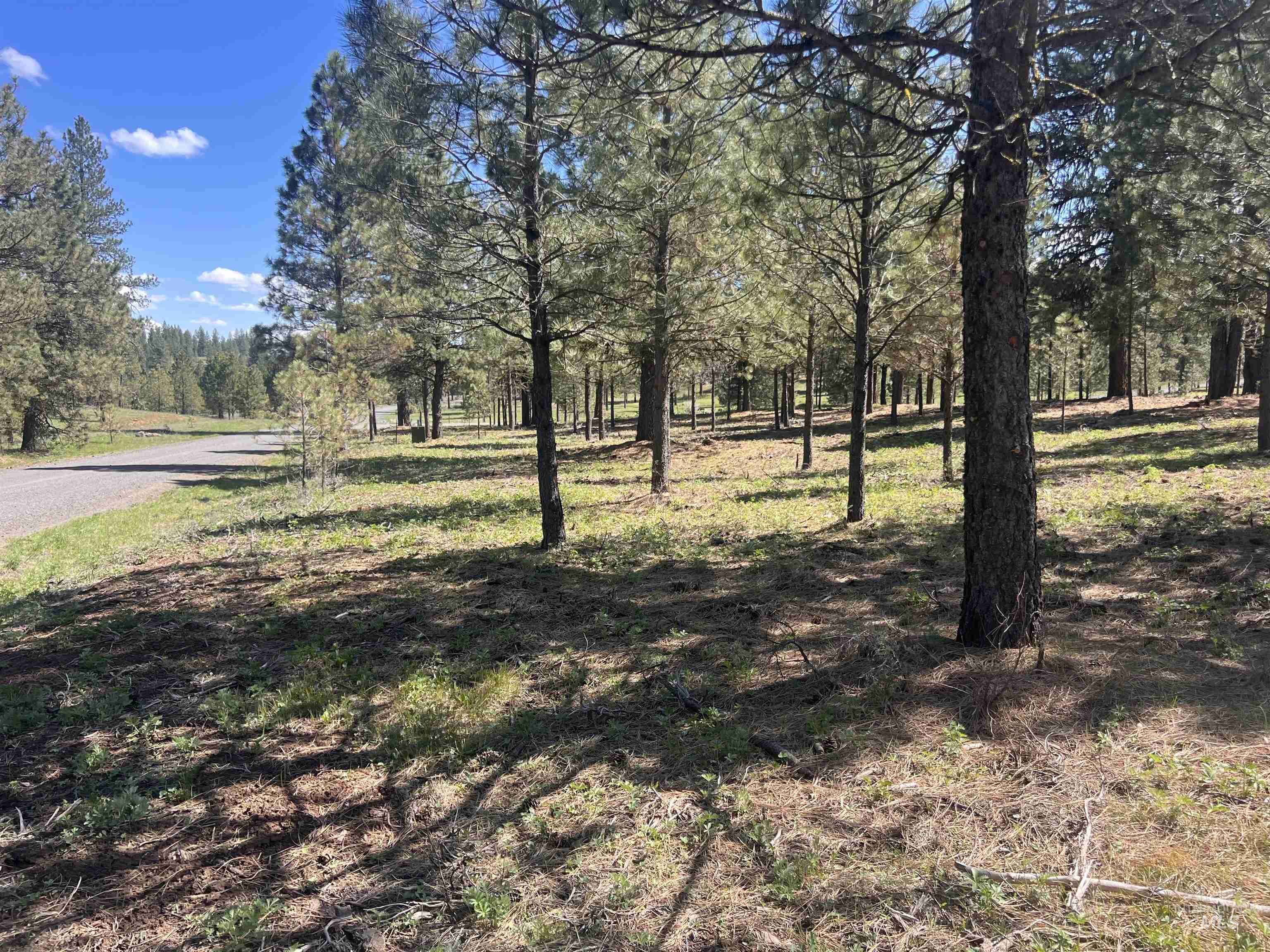 Lot 44 Old Hwy 95, New Meadows ID 83654