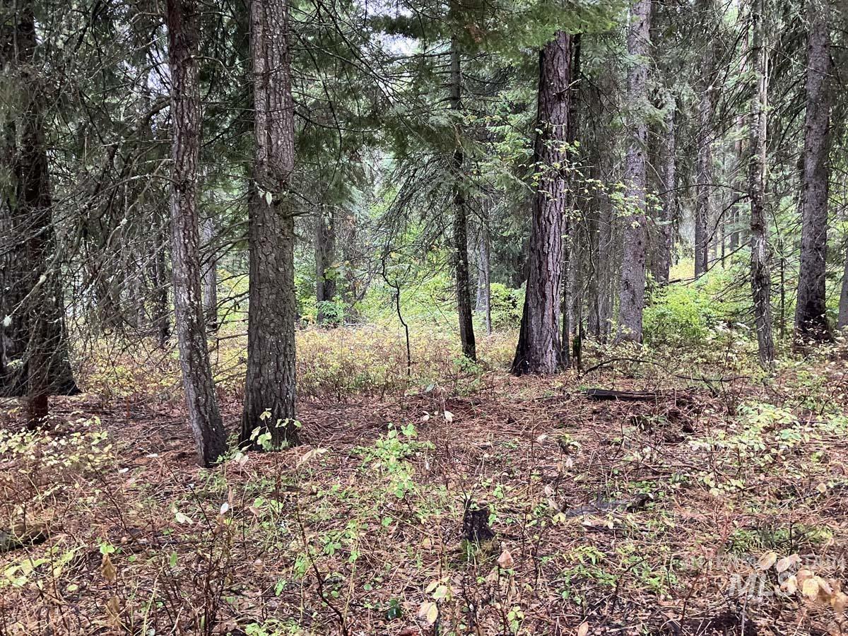 1790 Lark Trail, Donnelly ID 83615