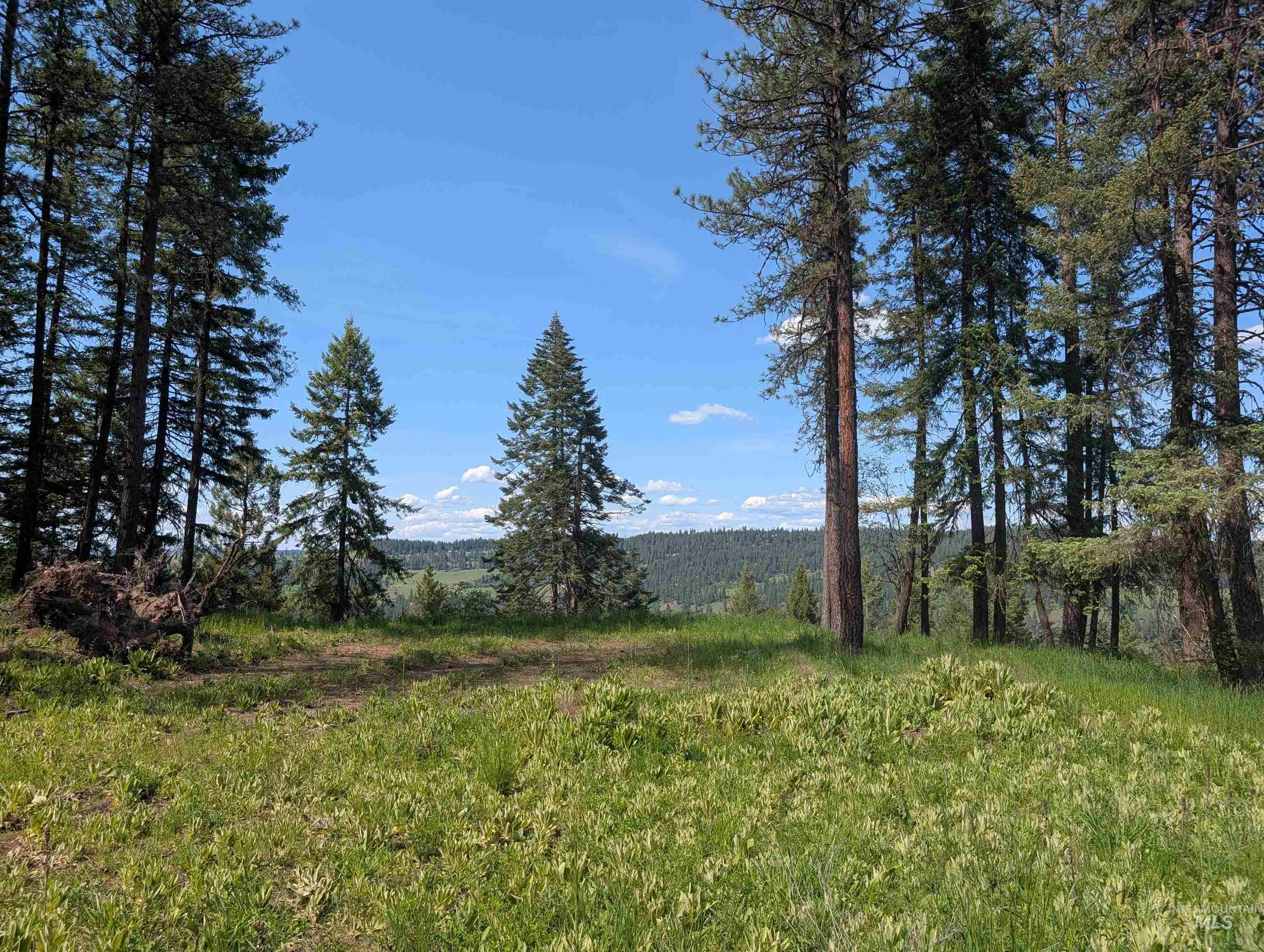750 Mountain Top Drive (#2), Orofino ID 83544