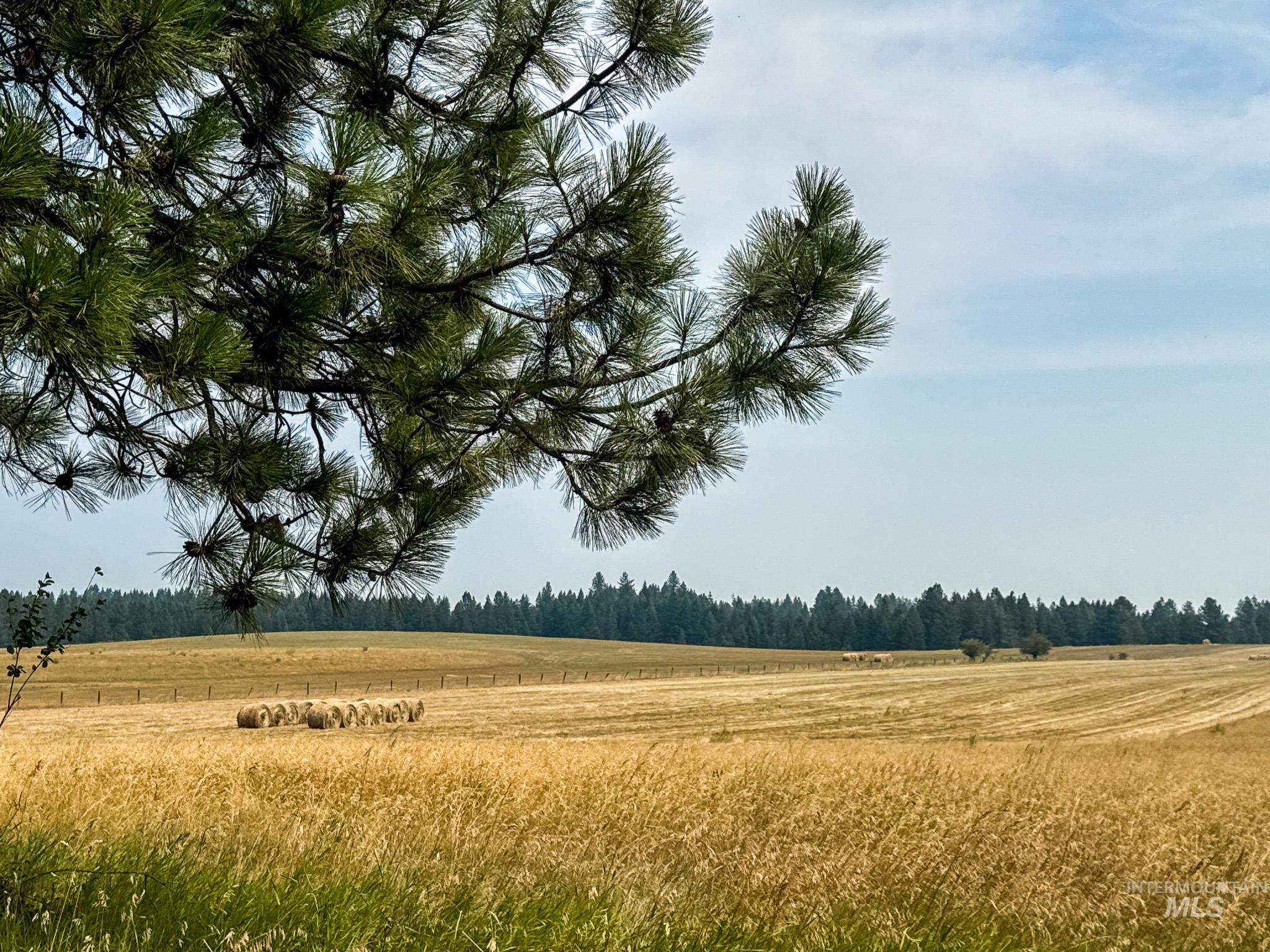 TBD Three Mile Rd, Weippe ID 83553