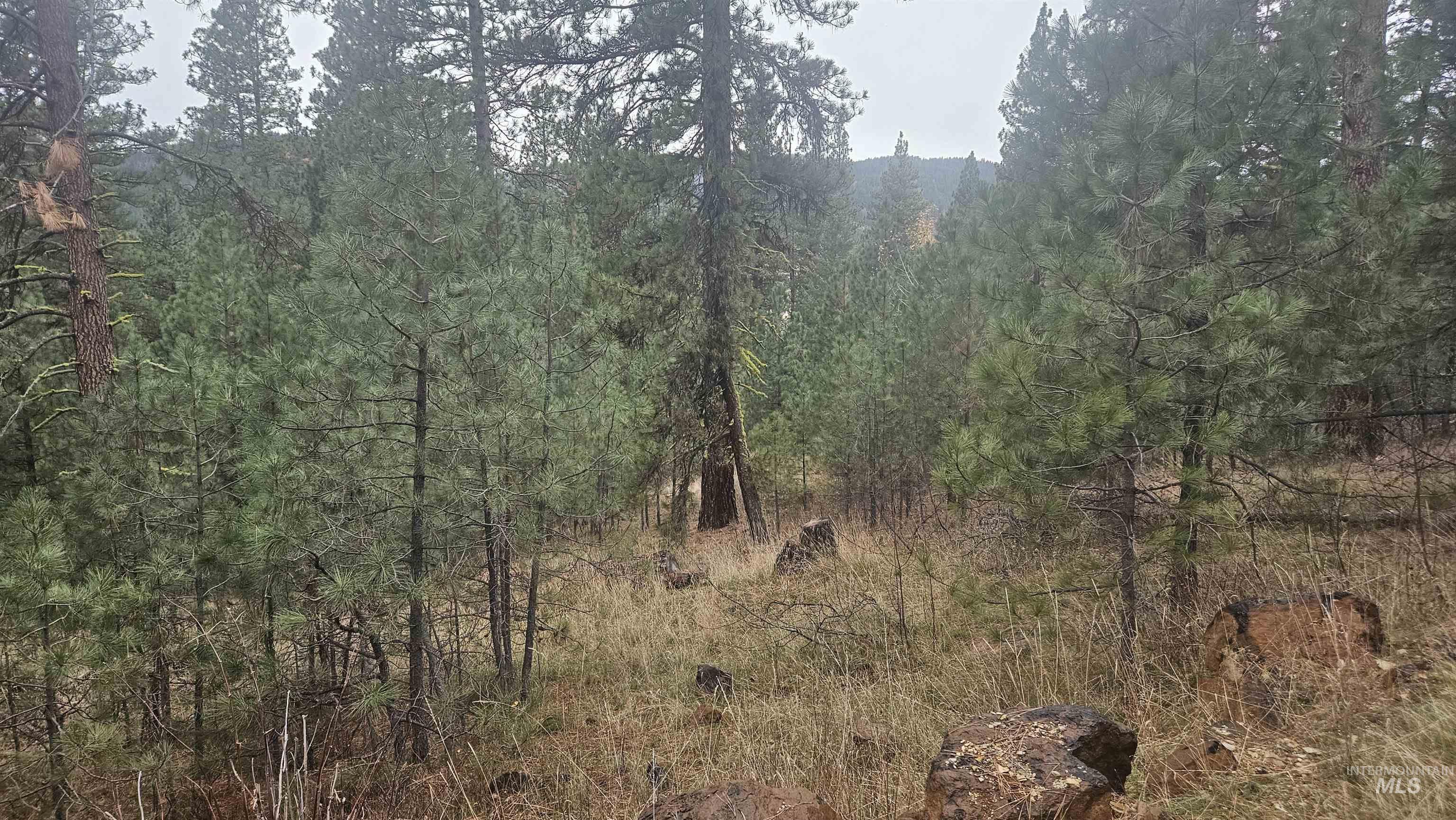 Lot 4 Boise Holcomb #3, Boise ID 83716