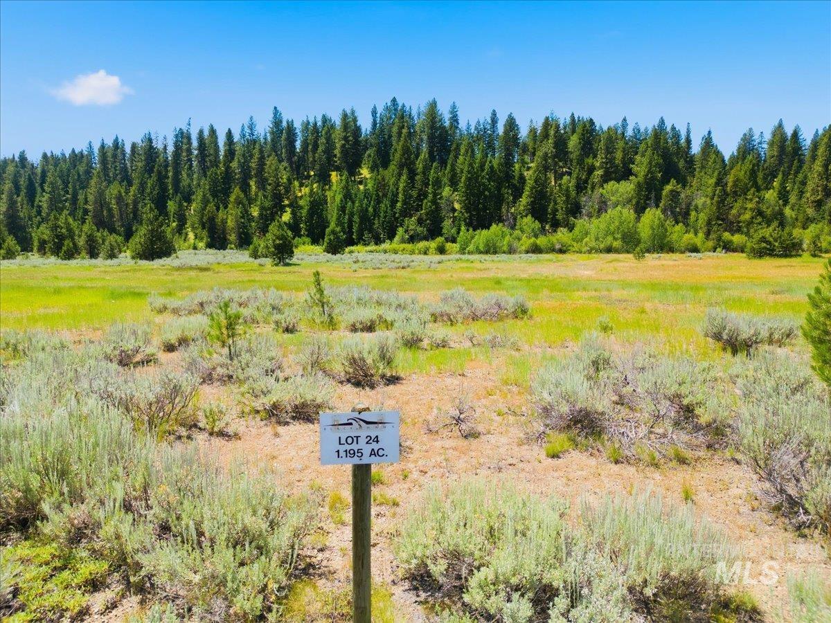 L24 Targhee Ct, McCall ID 83638