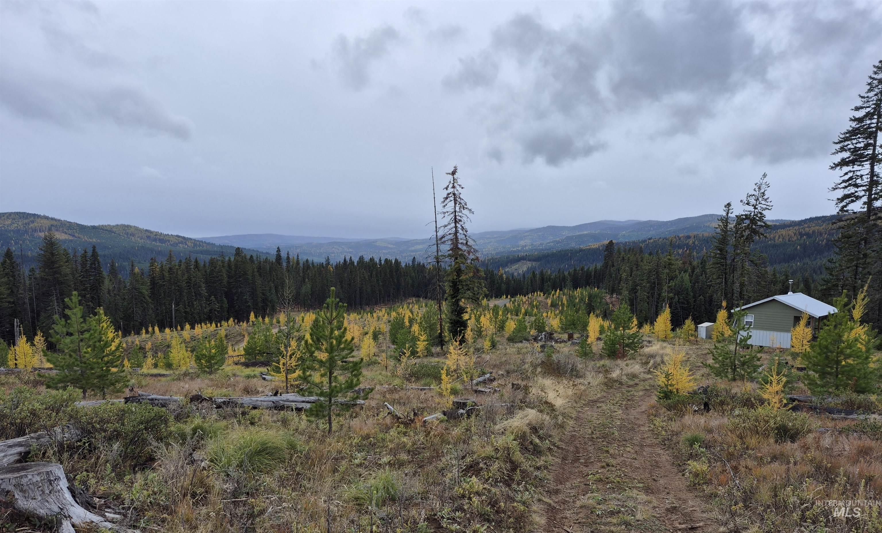 TBD French Gulch Rd Parcel #2, Elk City ID 83525