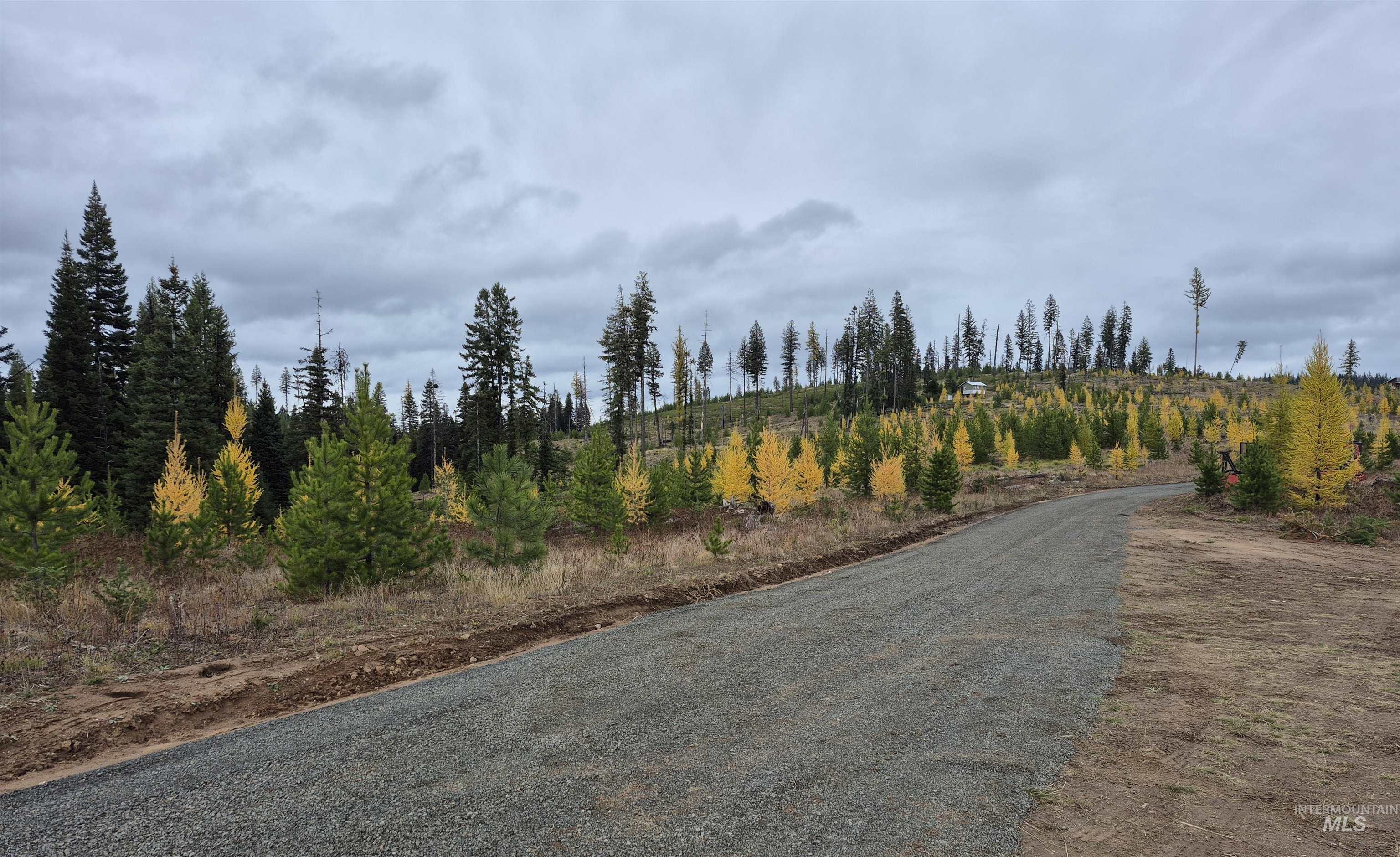 TBD French Gulch Rd Parcel 2 & 3, Elk City ID 83525