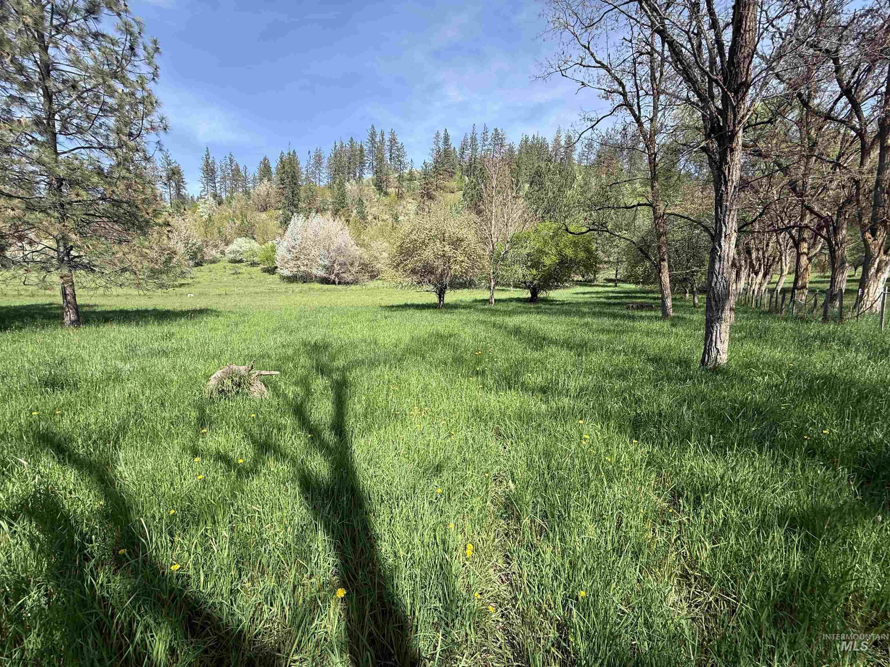 TBD Cashway Road Lot 1, Kamiah ID 83536
