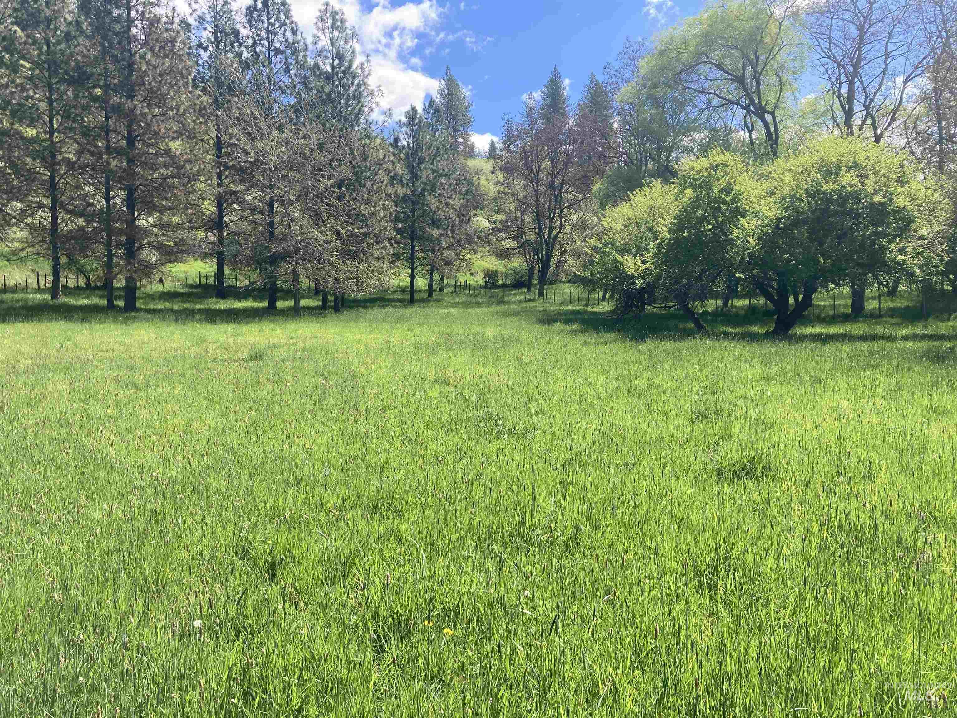 TBD Cashway Road Lot 2, Kamiah ID 83536