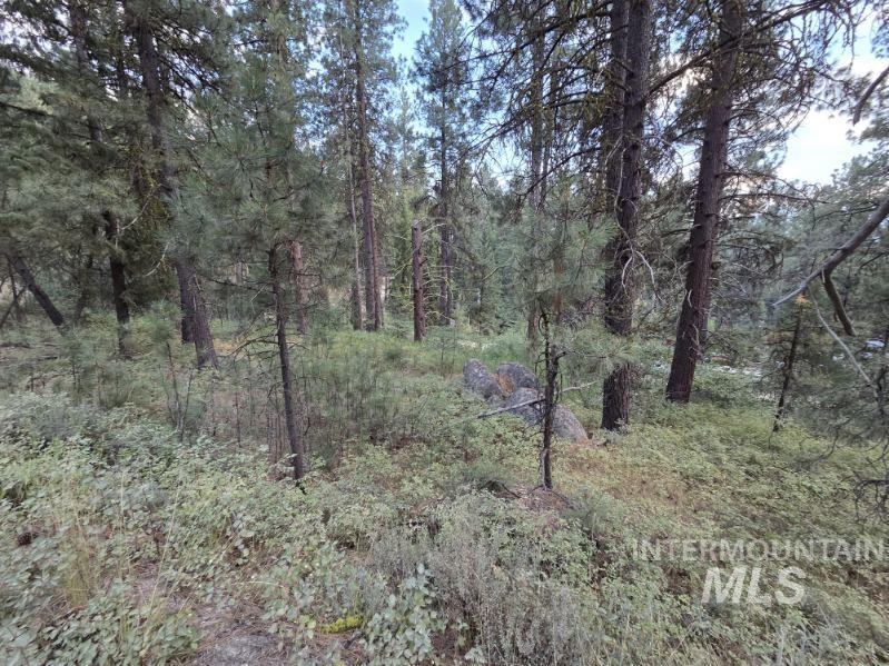 1291 Crown Point Pkwy, Cascade ID 83611
