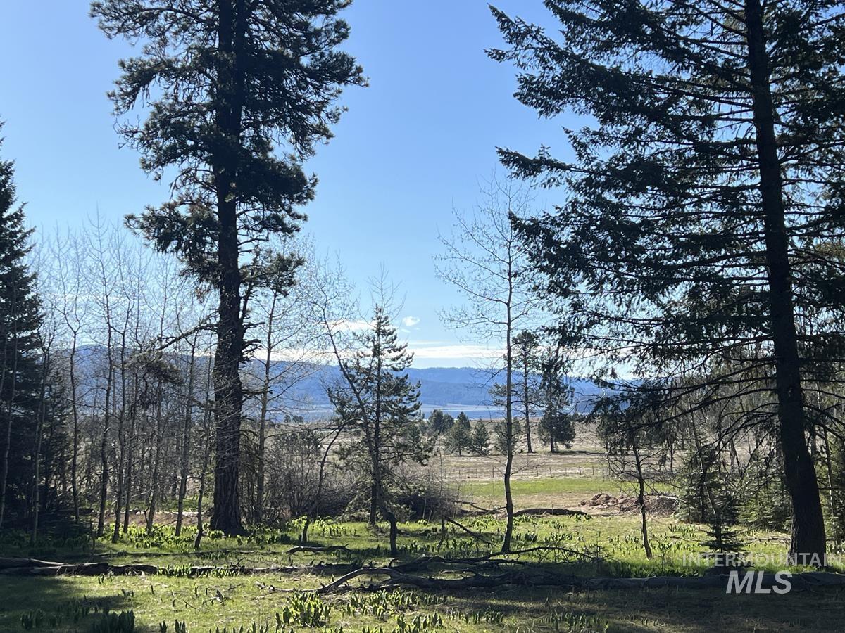1792 Canary Trail, Donnelly ID 83615