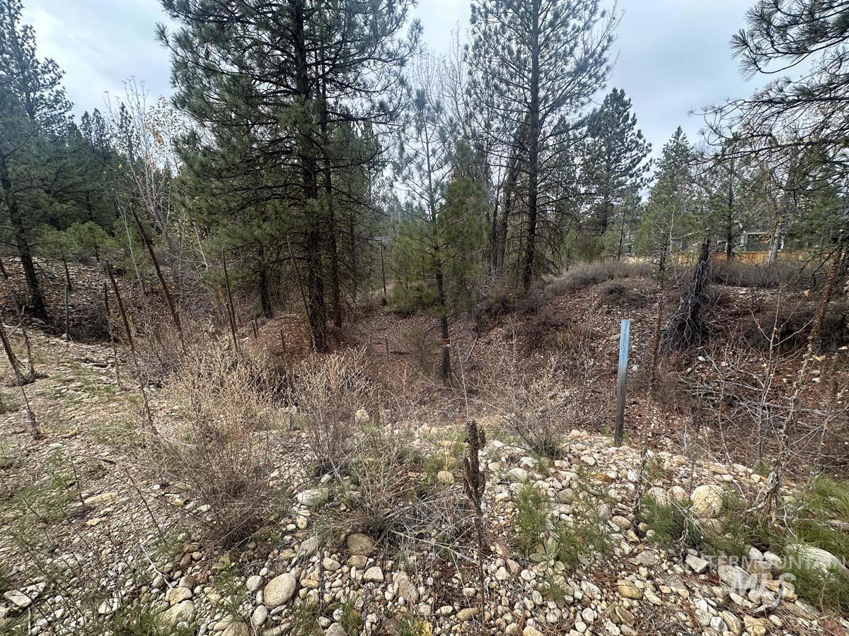 L51 Lily Loop, Idaho City ID 83631