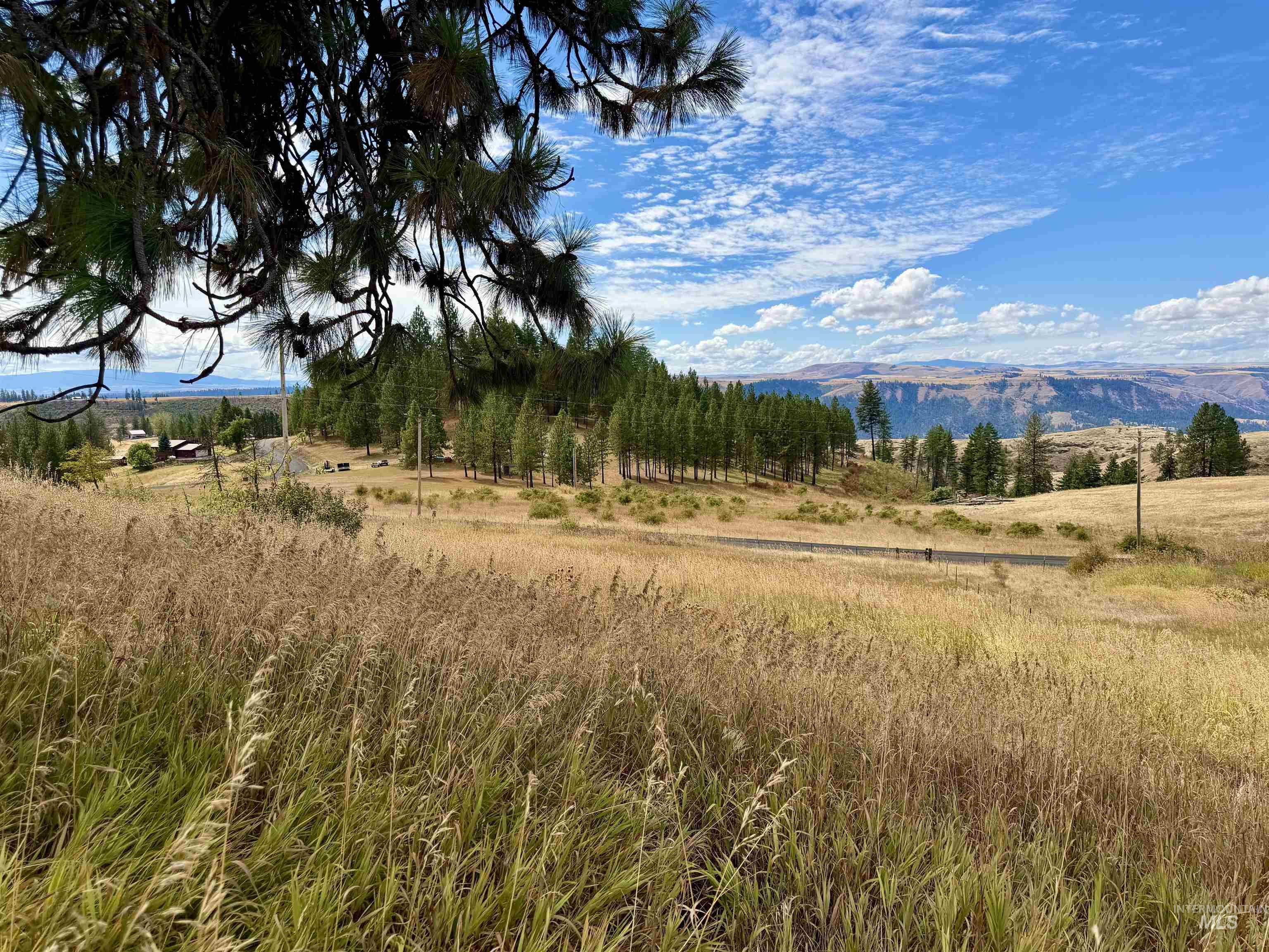 1003 Beaverslide Road, Kamiah ID 83536