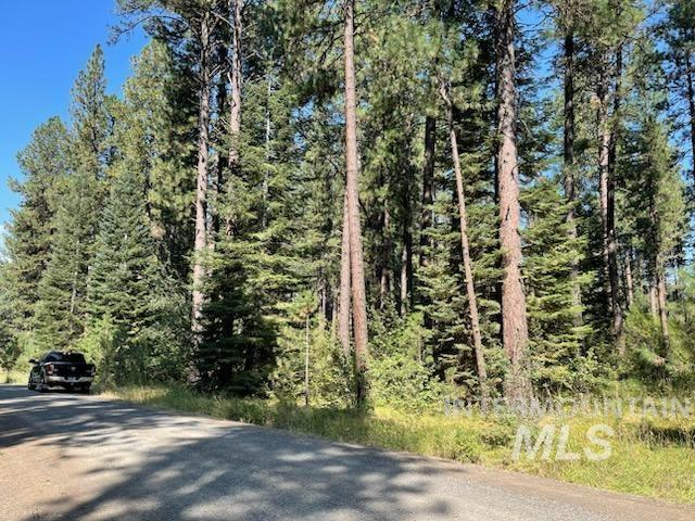14 Black Bear Subdivision, New Meadows ID 83654