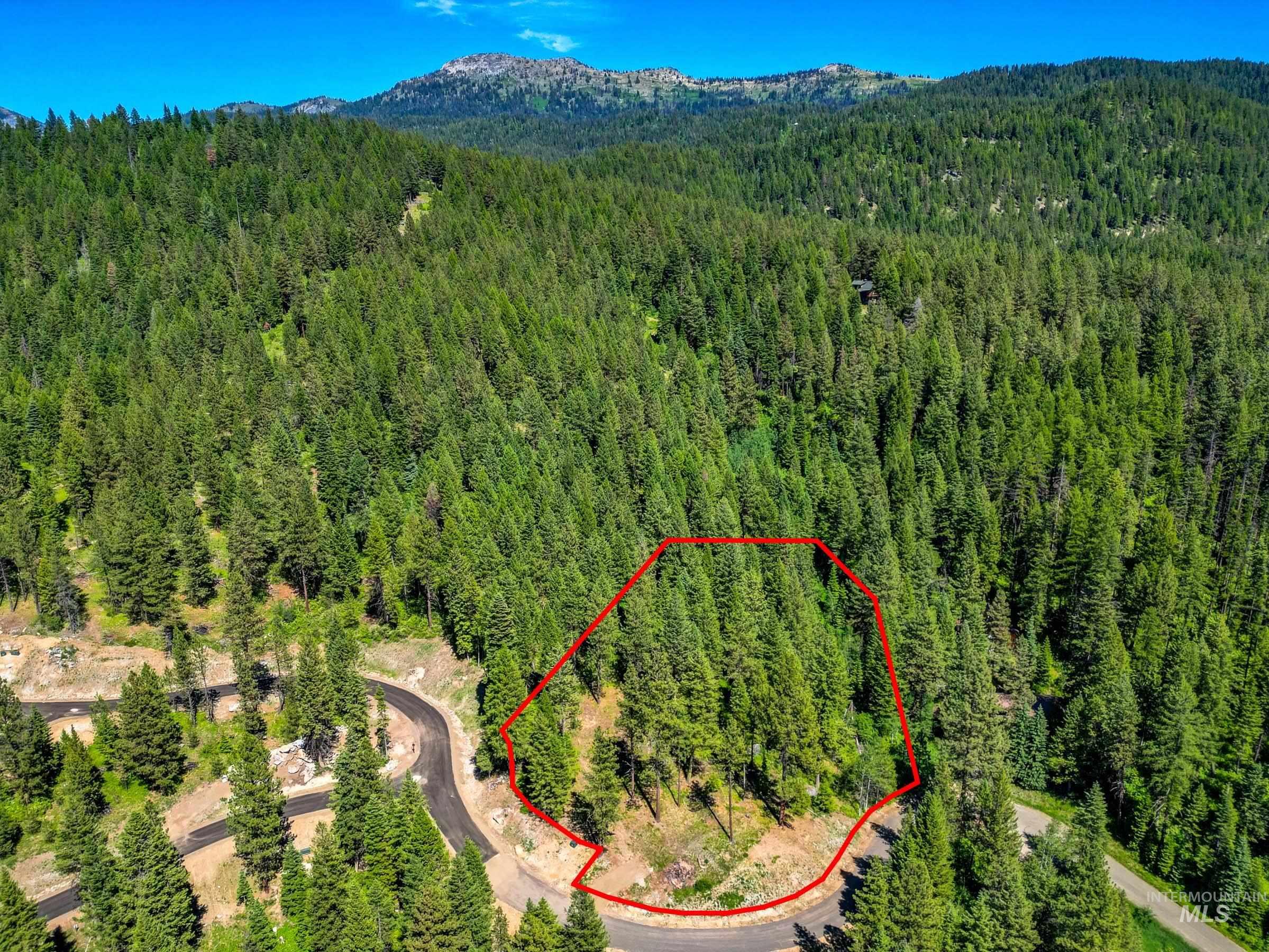 2 Spruce Hill Road, McCall ID 83638